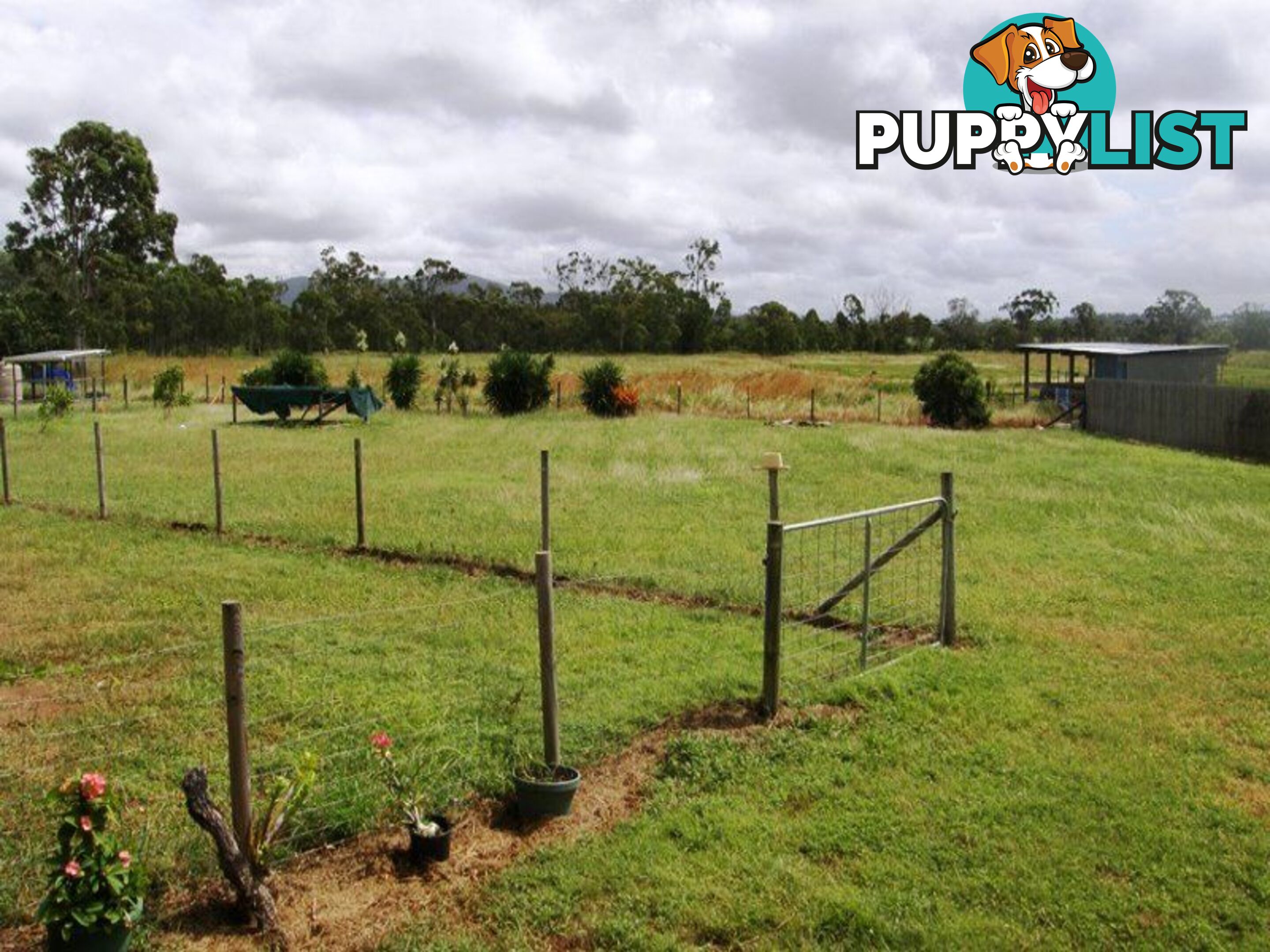 1586 Kelsey Creek Road KELSEY CREEK QLD 4800