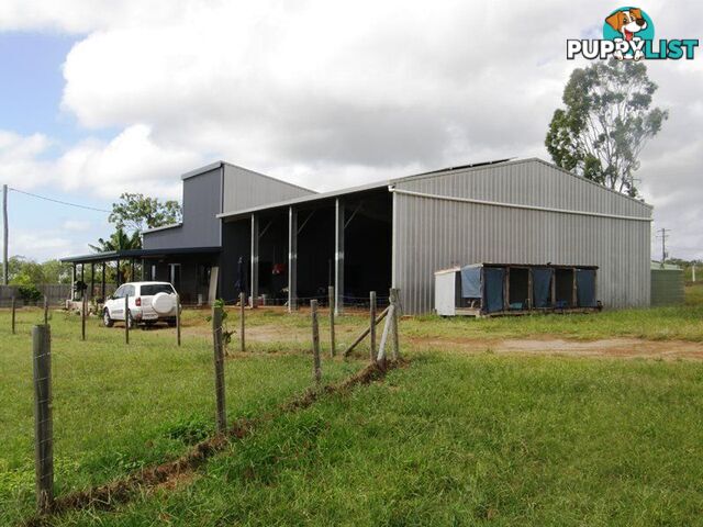 1586 Kelsey Creek Road KELSEY CREEK QLD 4800