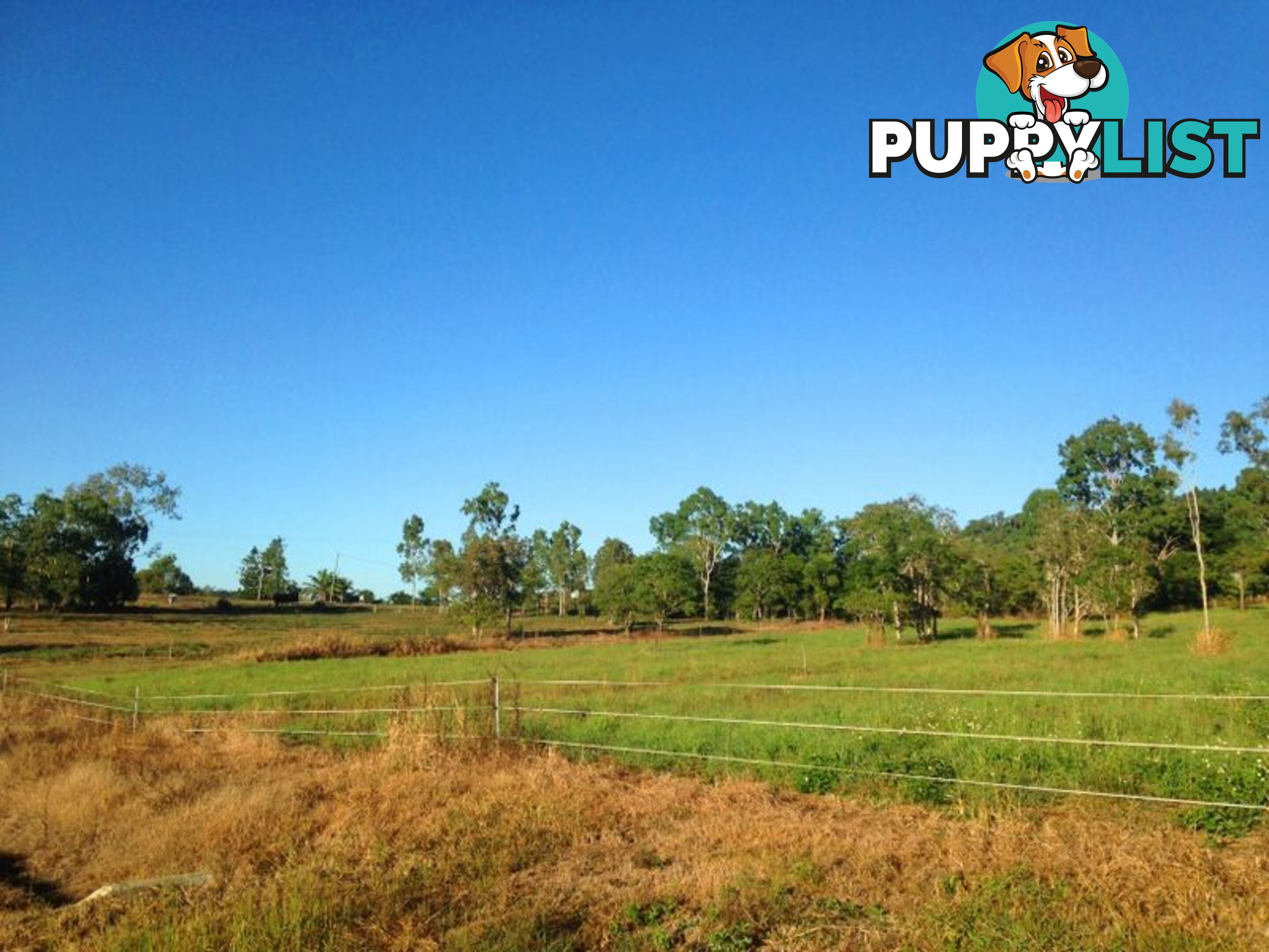 Lot 22 Bluebird Drive STRATHDICKIE QLD 4800