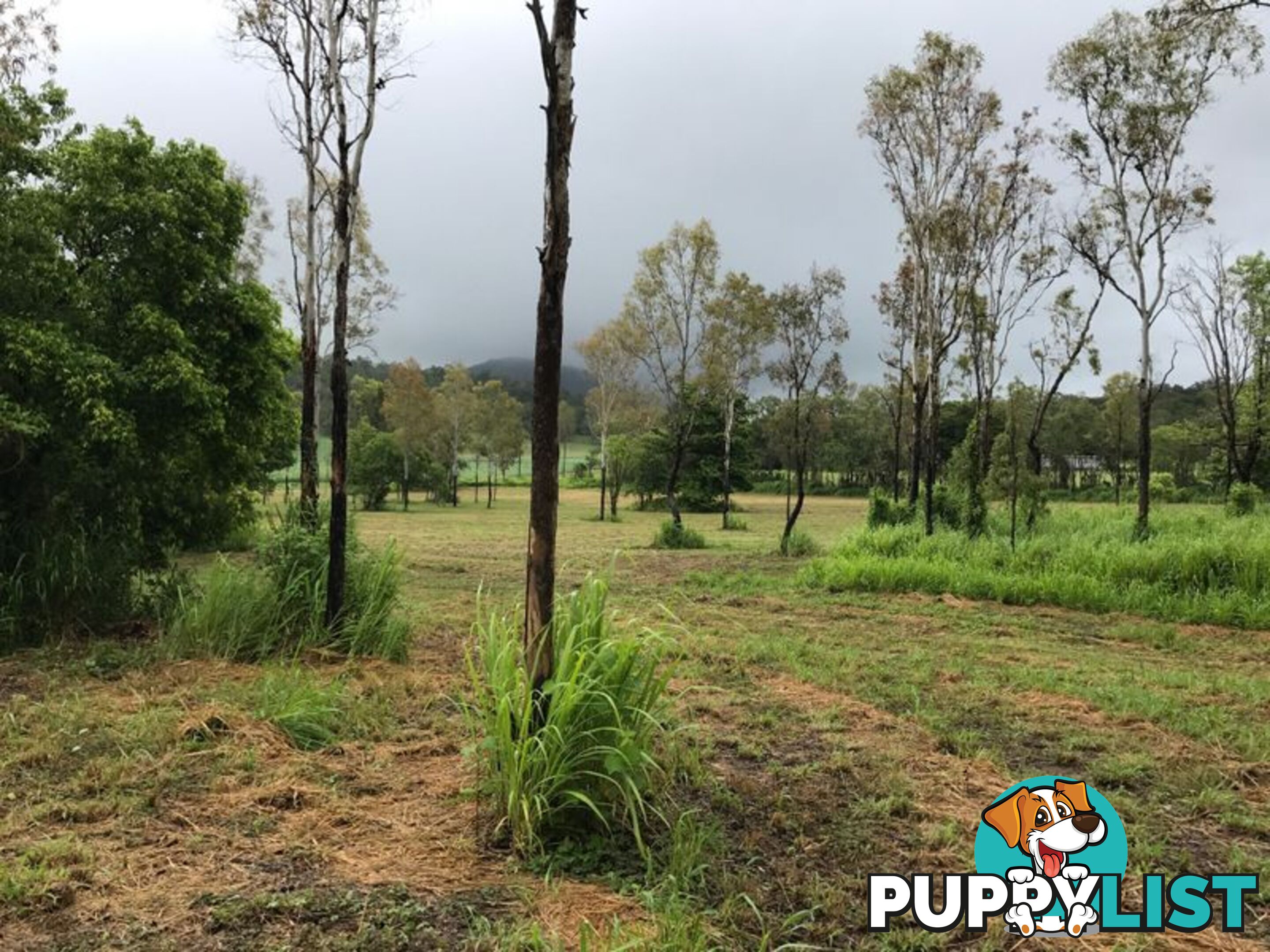 Lot 8-9 & Ecker Road PRESTON QLD 4800