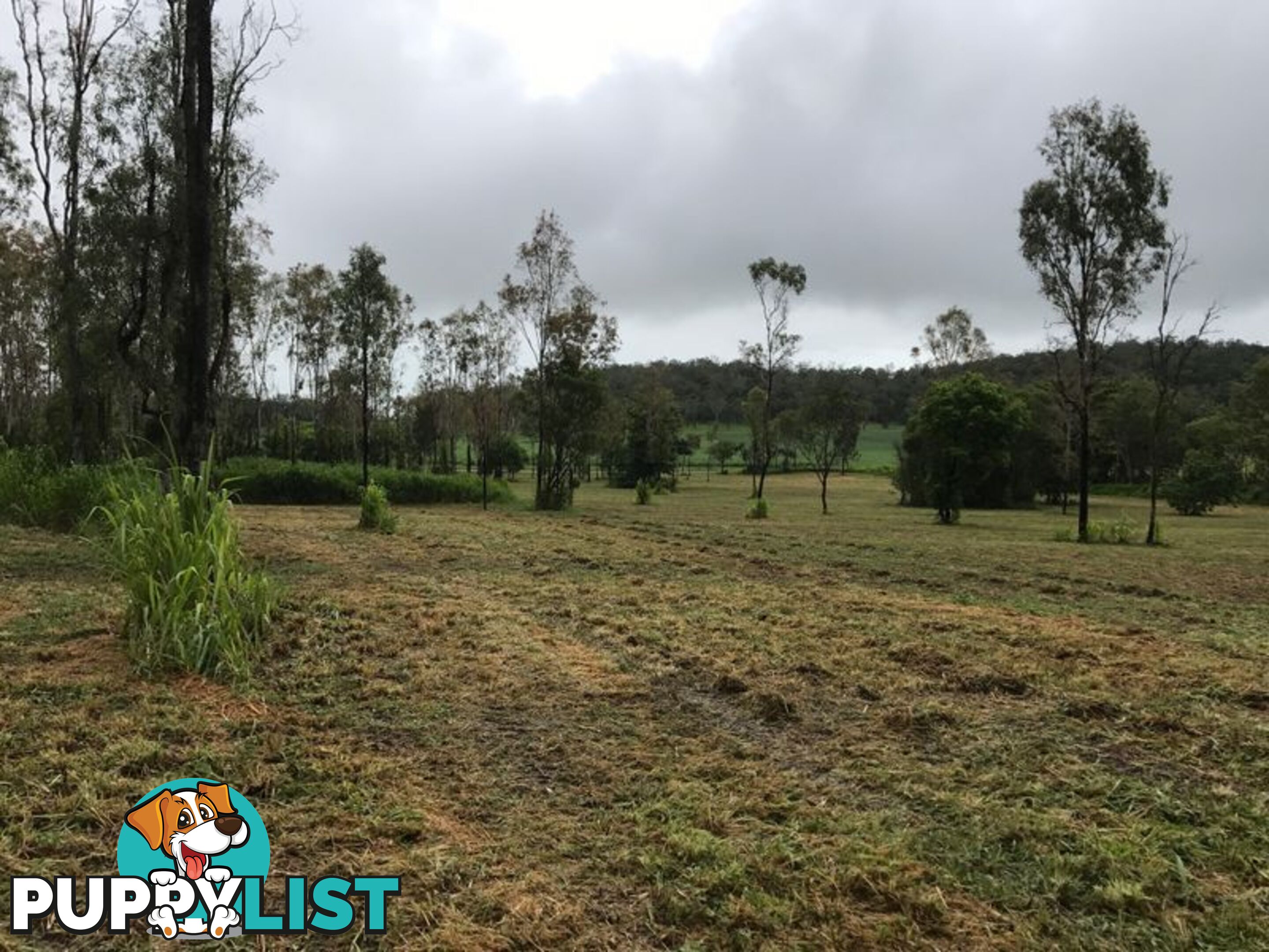 Lot 8-9 & Ecker Road PRESTON QLD 4800