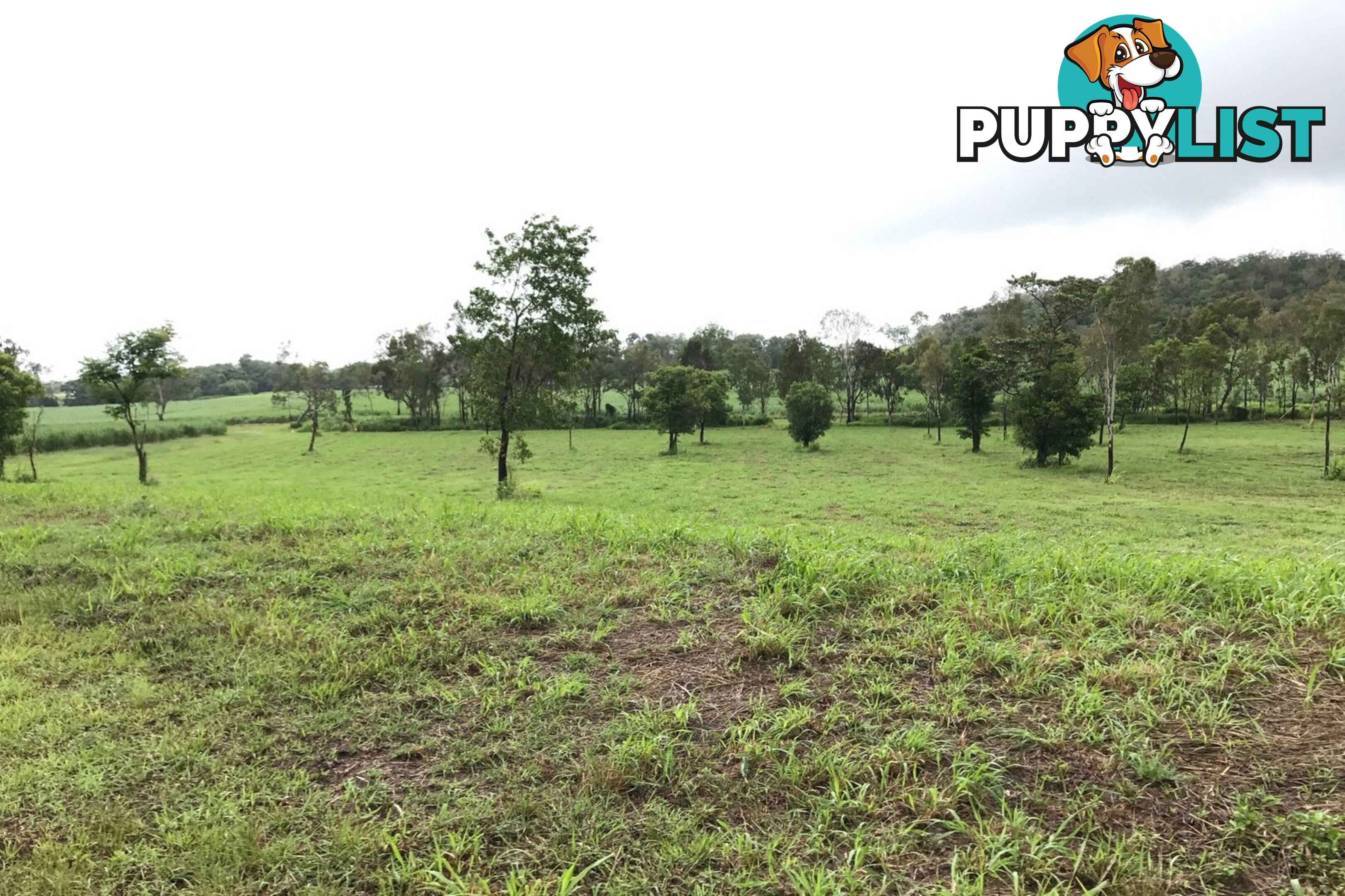 Lot 8-9 & Ecker Road PRESTON QLD 4800