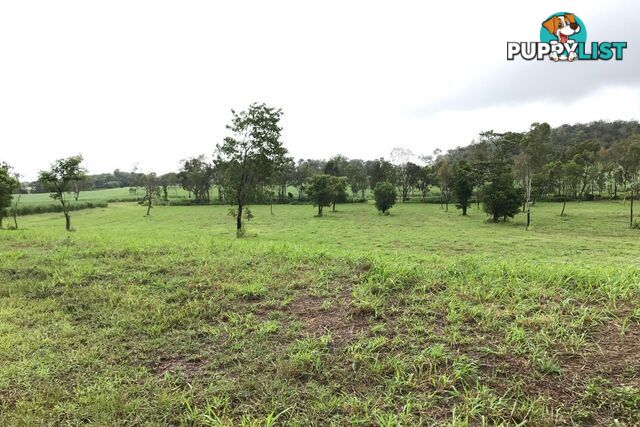 Lot 8-9 & Ecker Road PRESTON QLD 4800