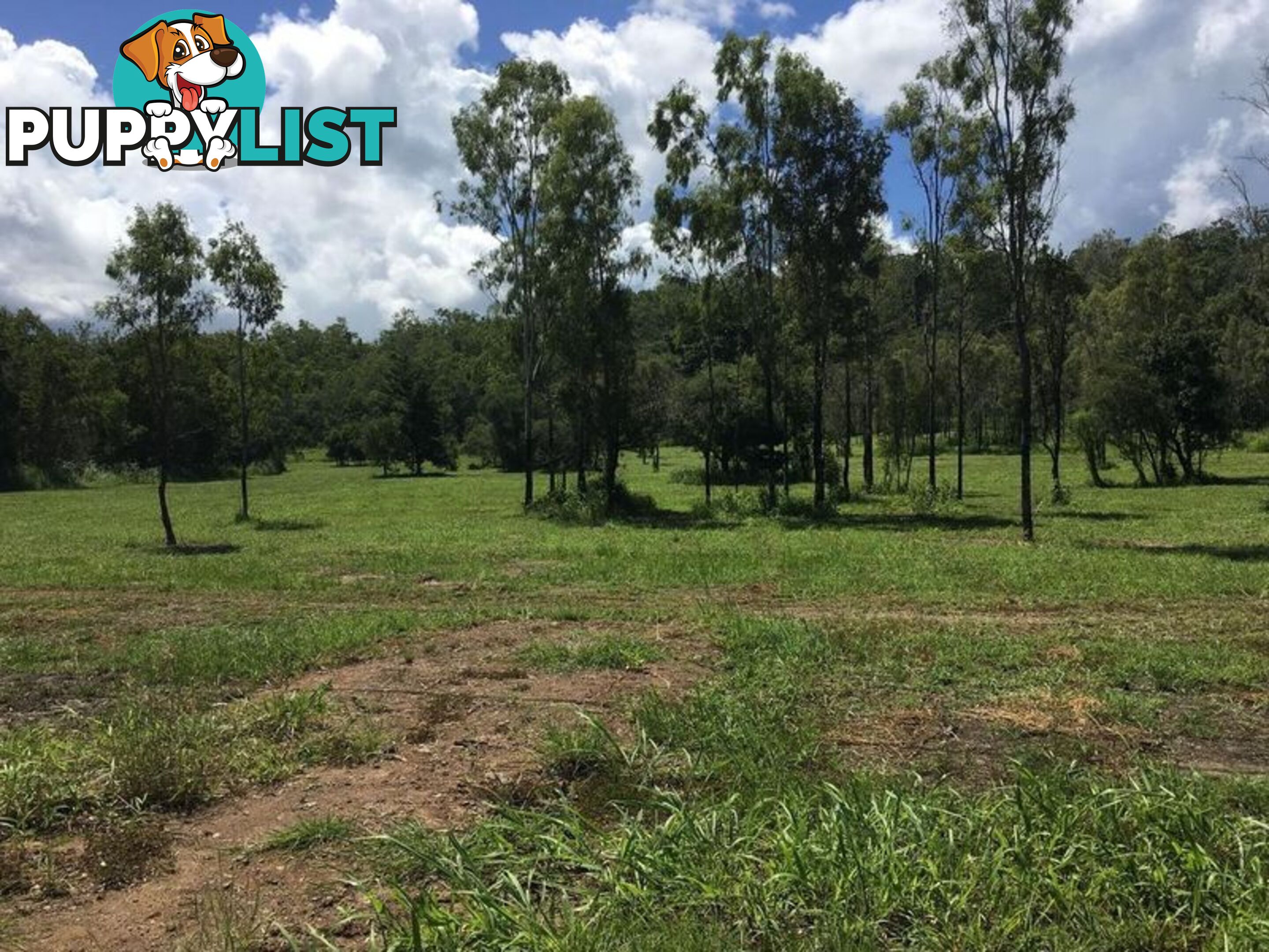 Lot 8-9 & Ecker Road PRESTON QLD 4800