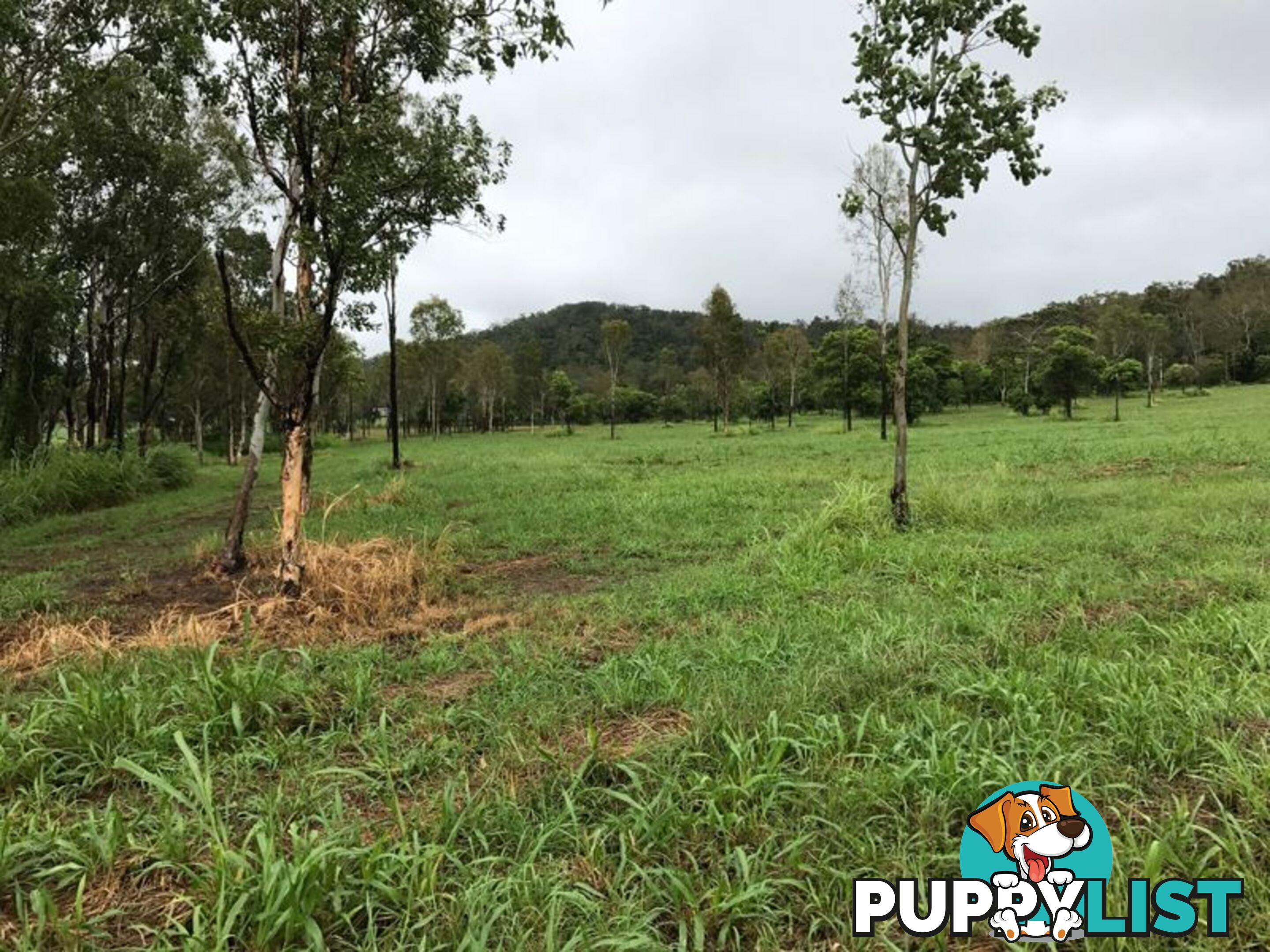 Lot 8-9 & Ecker Road PRESTON QLD 4800