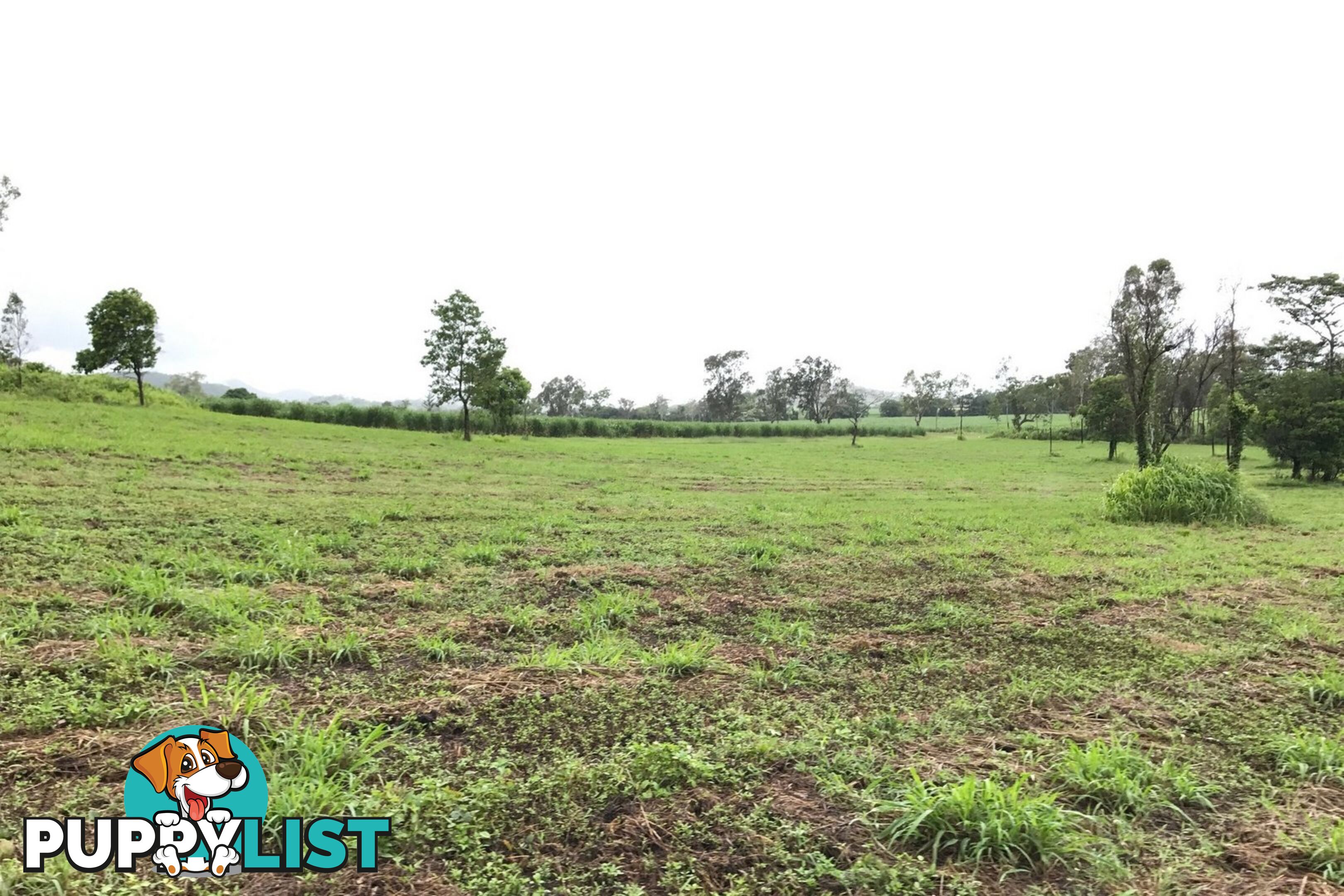 Lot 8-9 & Ecker Road PRESTON QLD 4800