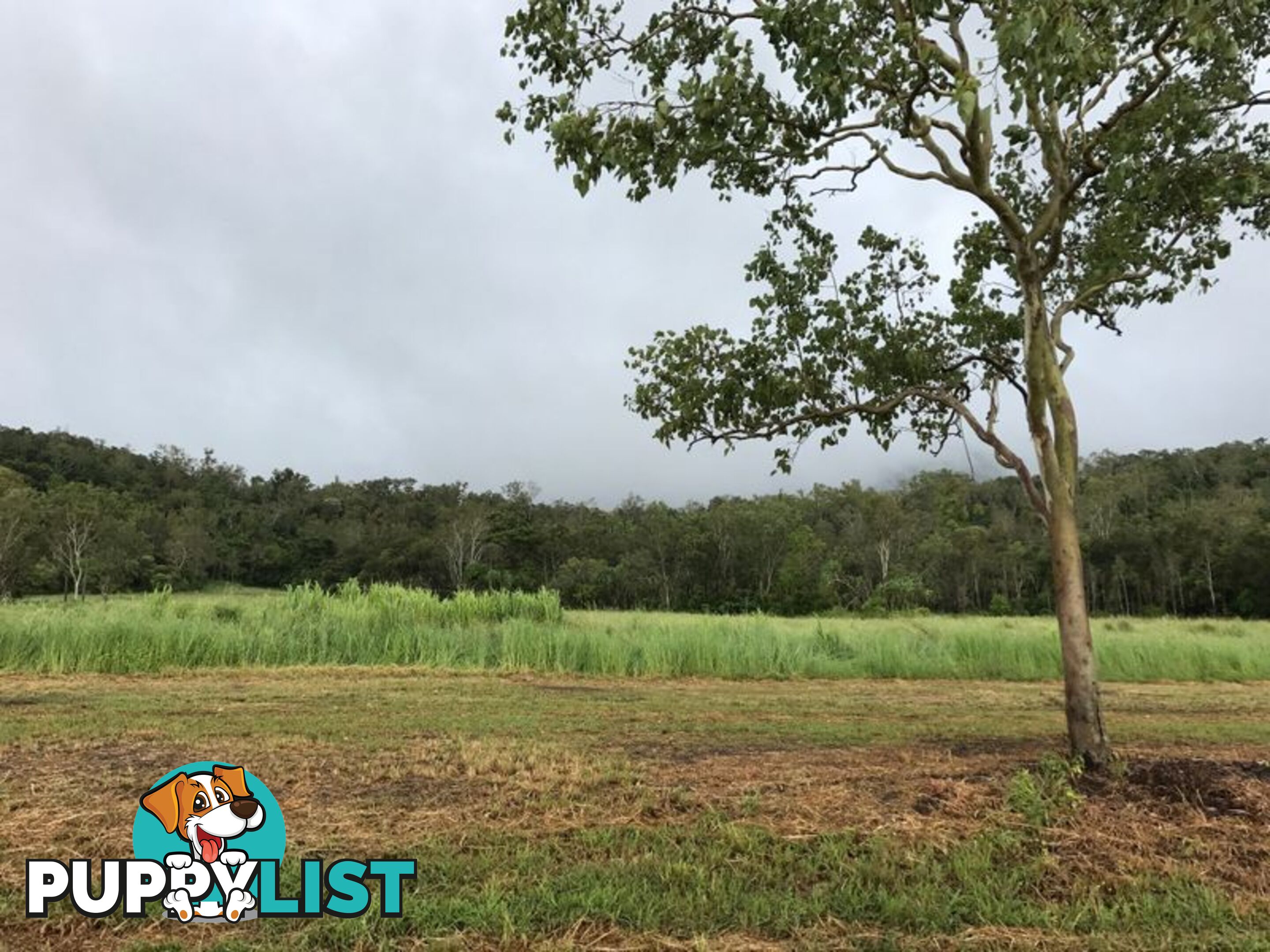 Lot 8-9 & Ecker Road PRESTON QLD 4800