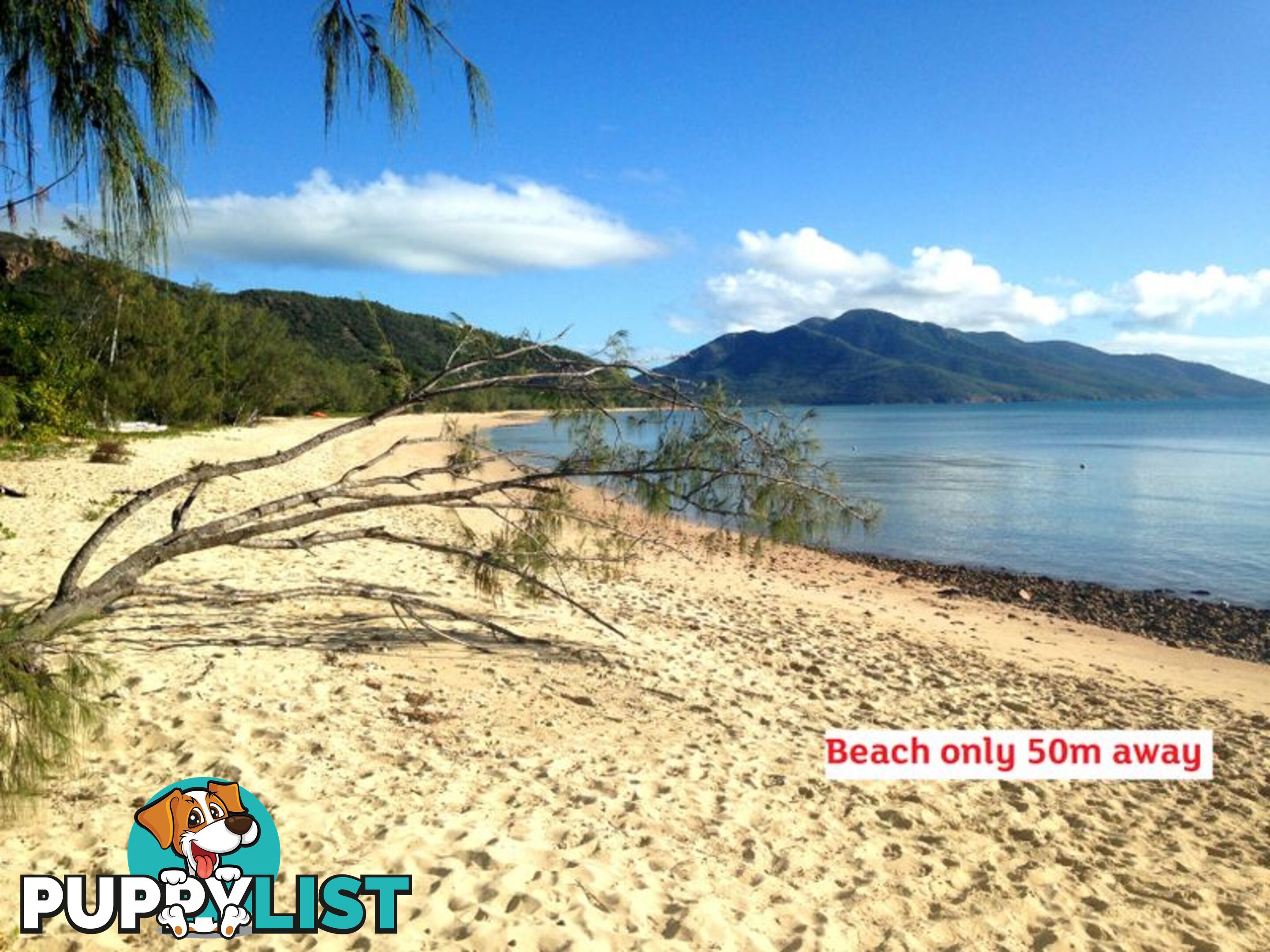 Lot 1 or 2/5 Gloucester Avenue HIDEAWAY BAY QLD 4800