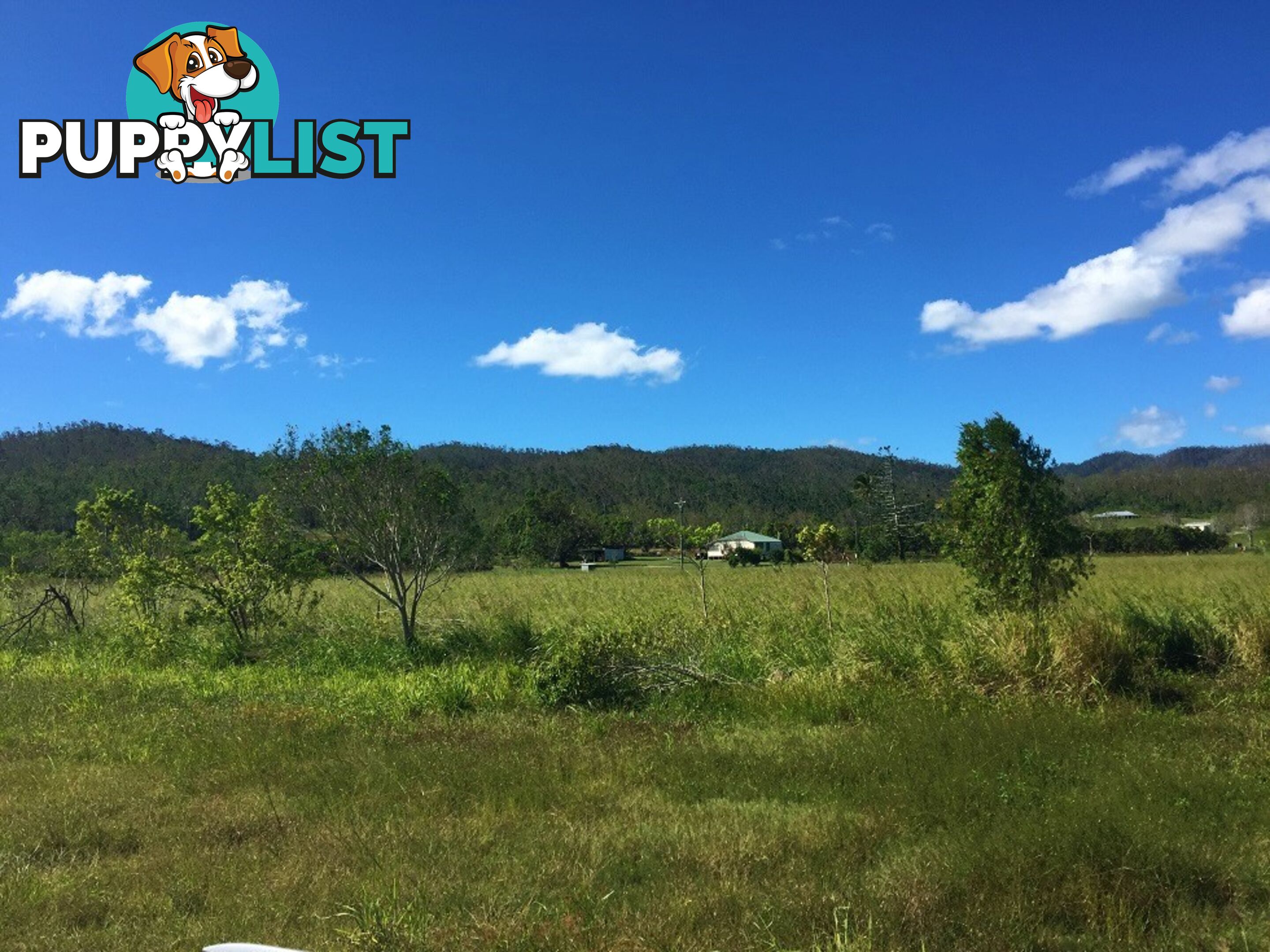 Lot 10 Gregory Cannon Valley Road GREGORY RIVER QLD 4800