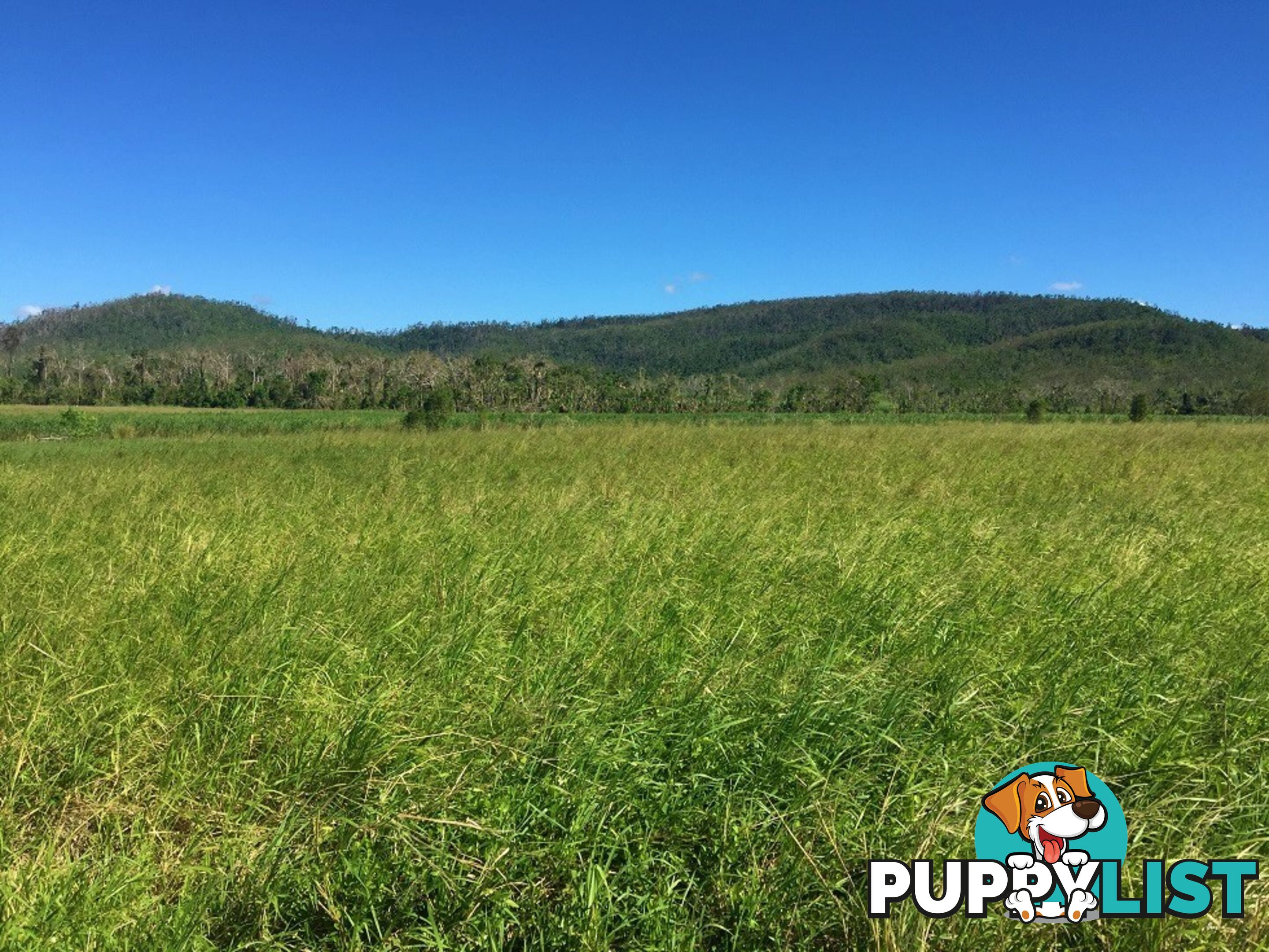 Lot 10 Gregory Cannon Valley Road GREGORY RIVER QLD 4800