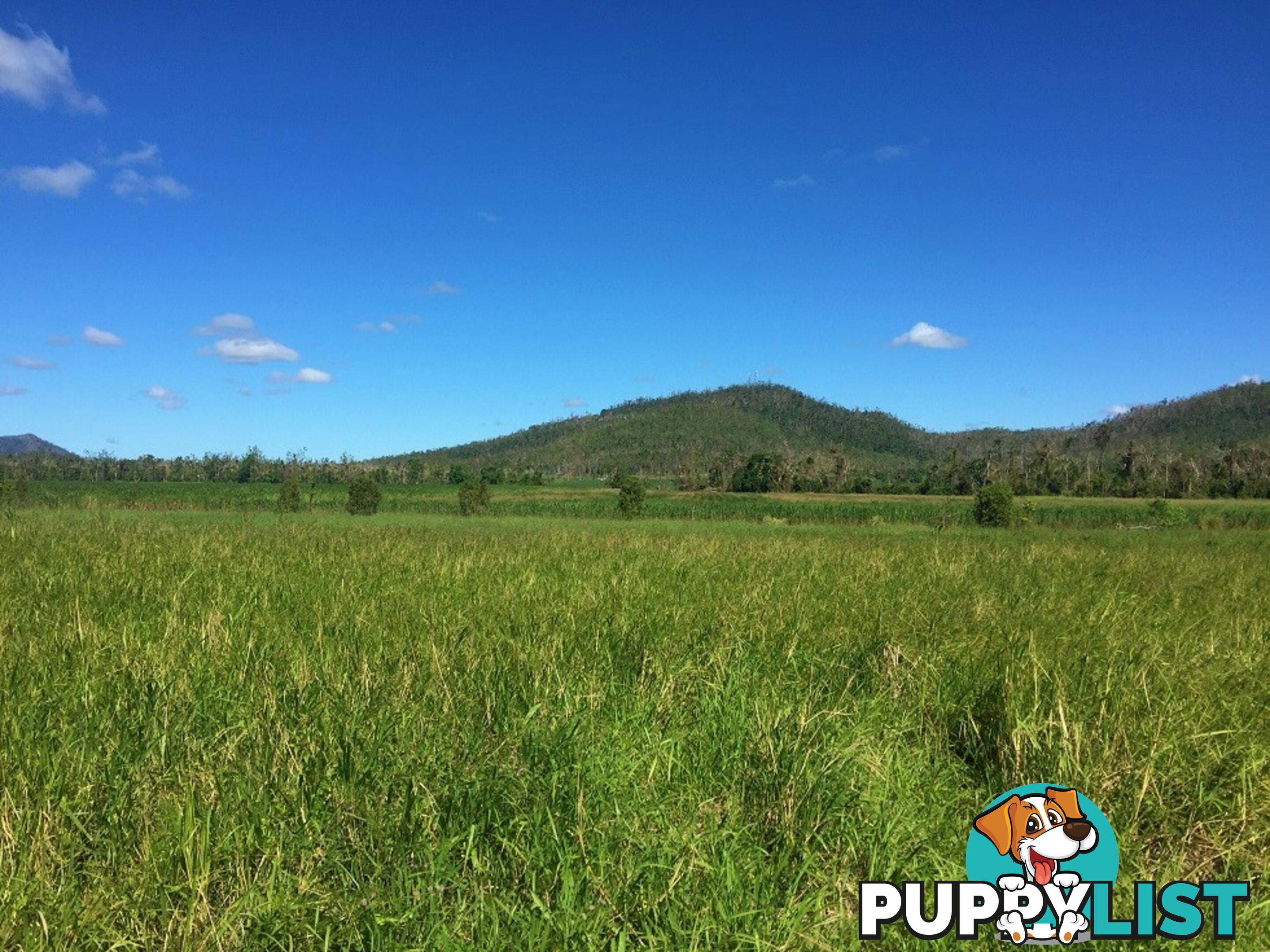 Lot 10 Gregory Cannon Valley Road GREGORY RIVER QLD 4800