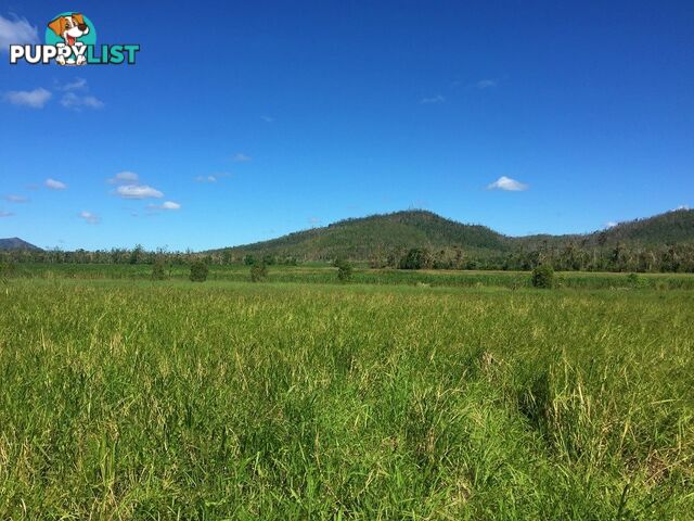 Lot 10 Gregory Cannon Valley Road GREGORY RIVER QLD 4800