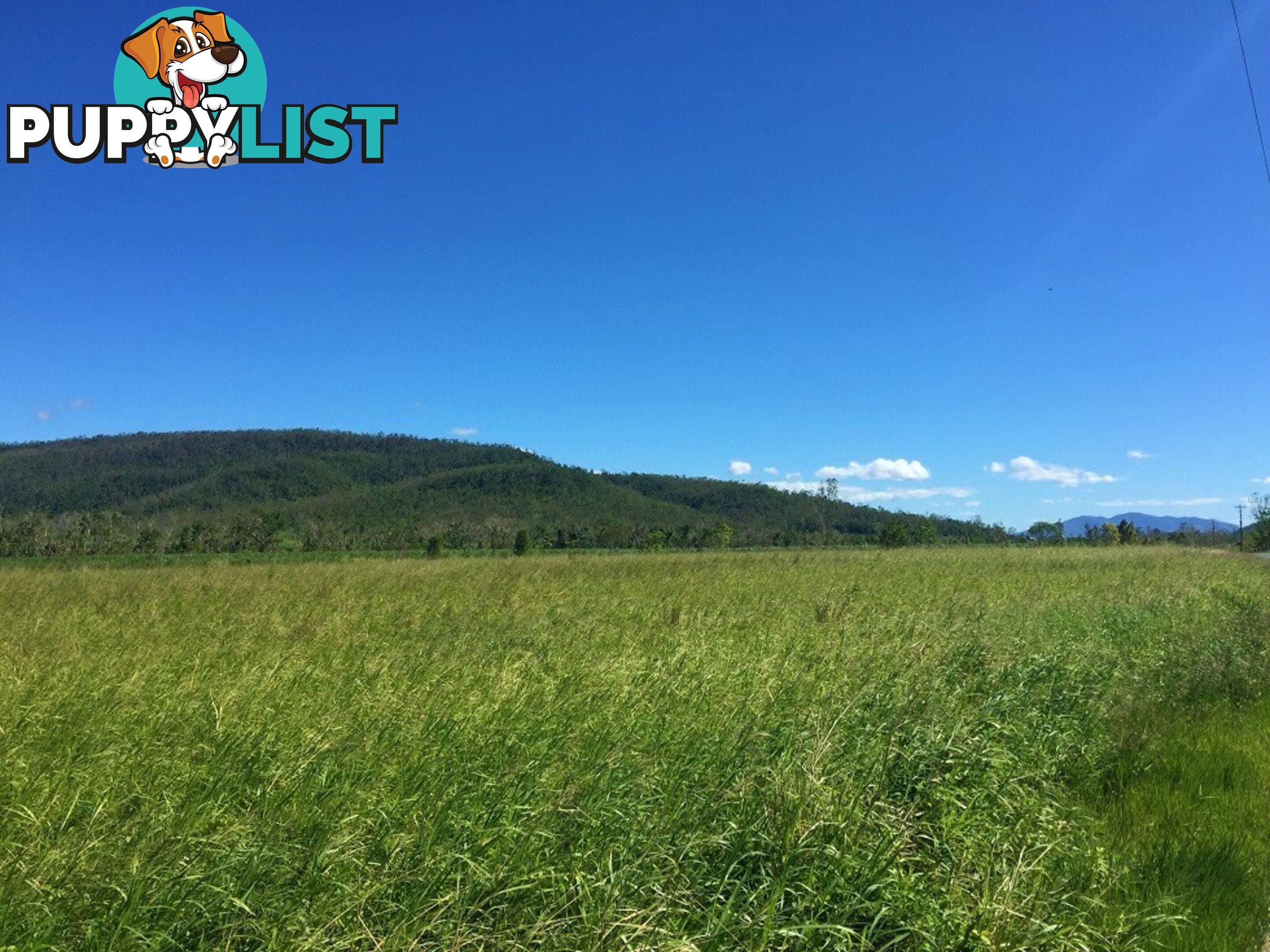 Lot 10 Gregory Cannon Valley Road GREGORY RIVER QLD 4800