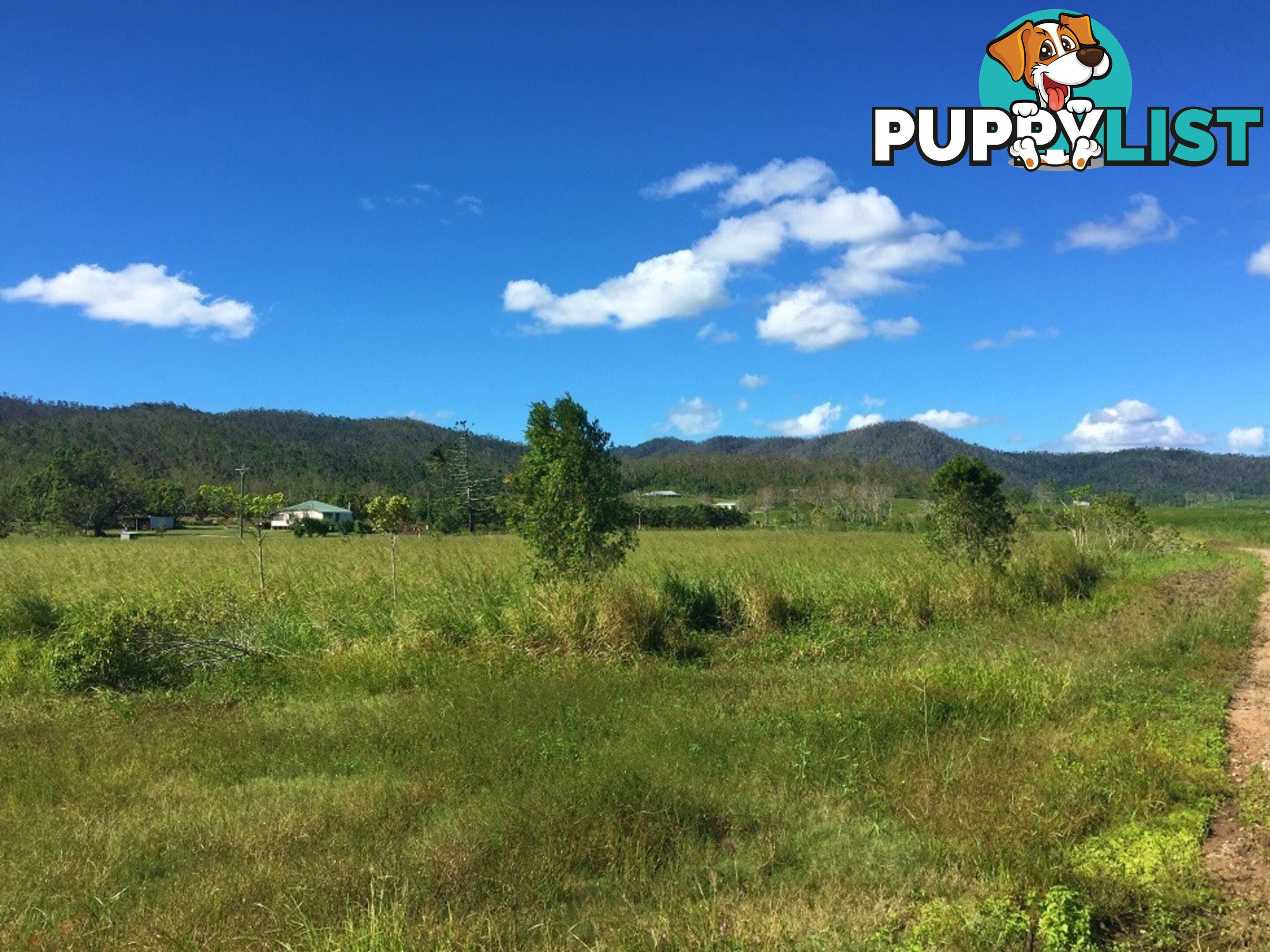 Lot 10 Gregory Cannon Valley Road GREGORY RIVER QLD 4800