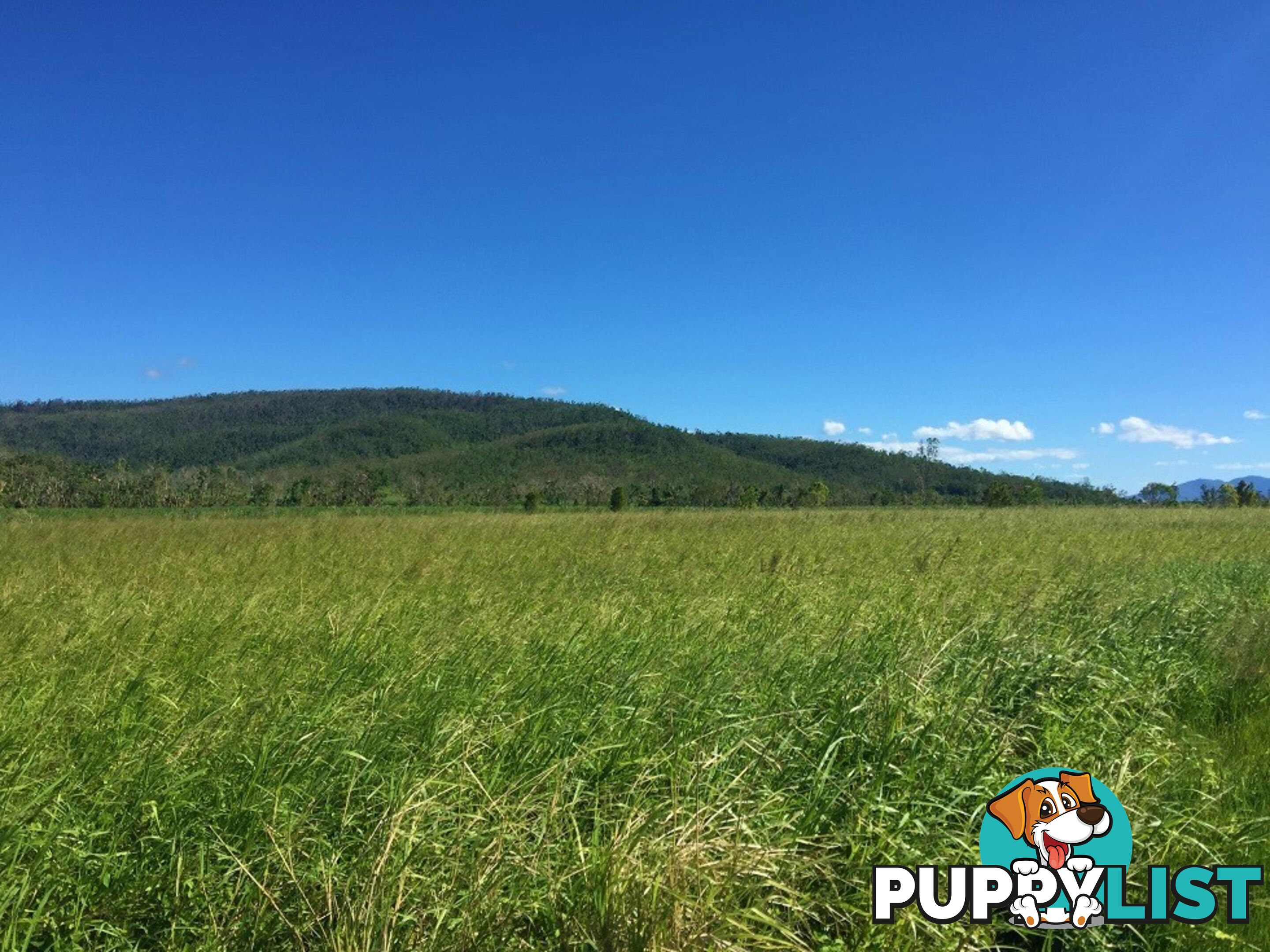 Lot 10 Gregory Cannon Valley Road GREGORY RIVER QLD 4800