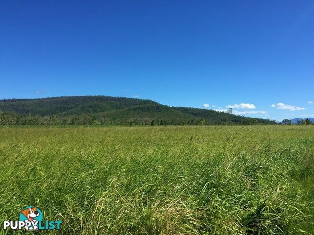 Lot 10 Gregory Cannon Valley Road GREGORY RIVER QLD 4800