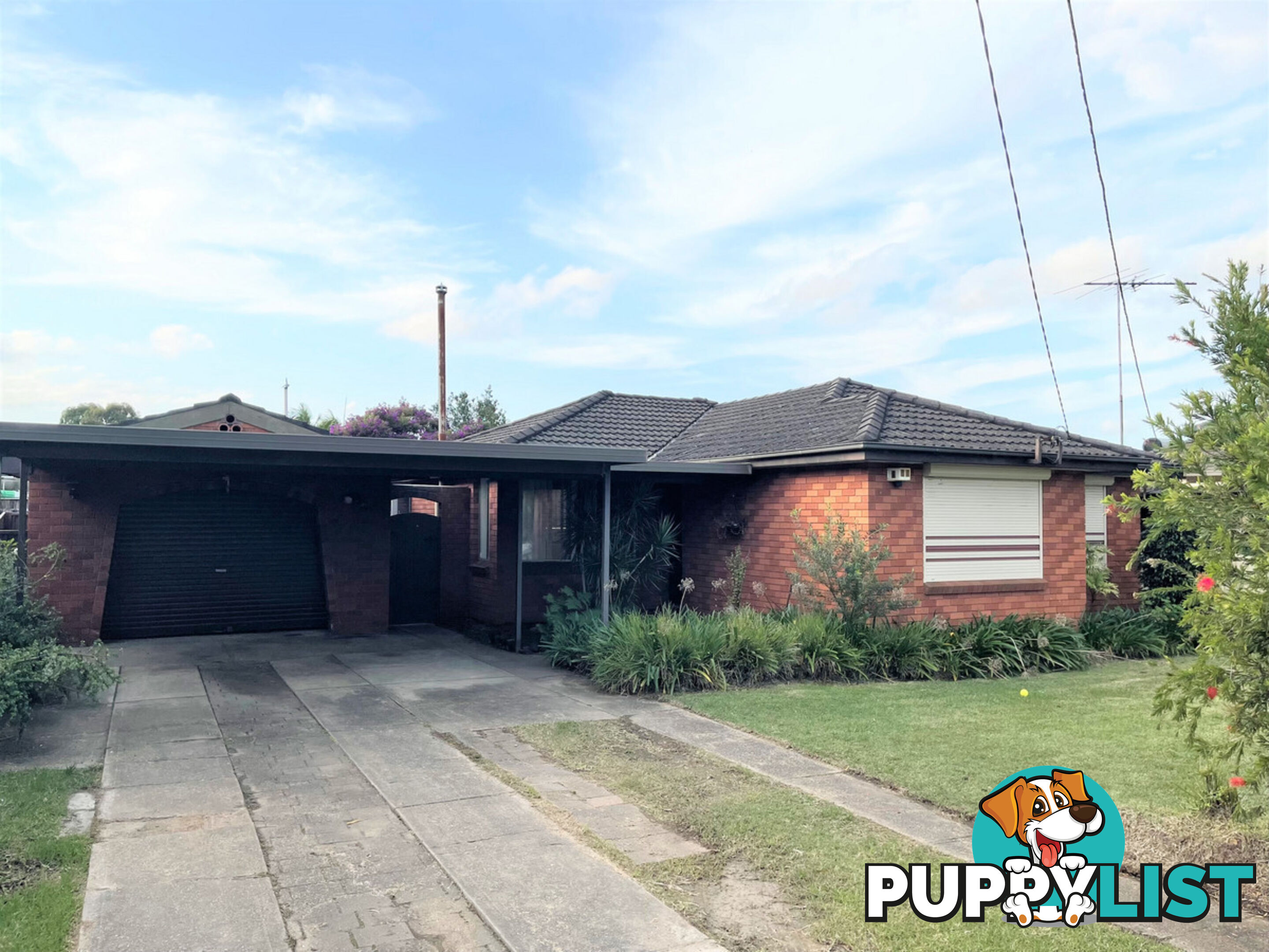 239 Cornelia Road TOONGABBIE NSW 2146