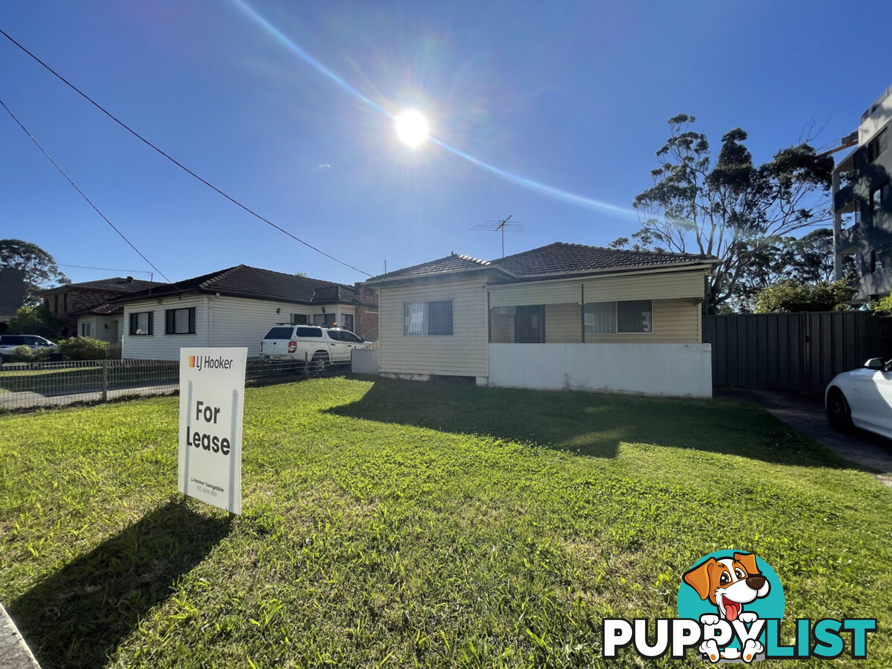 49 Aurelia Street TOONGABBIE NSW 2146