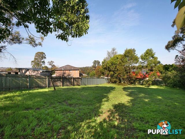 44 Cornelia Road TOONGABBIE NSW 2146