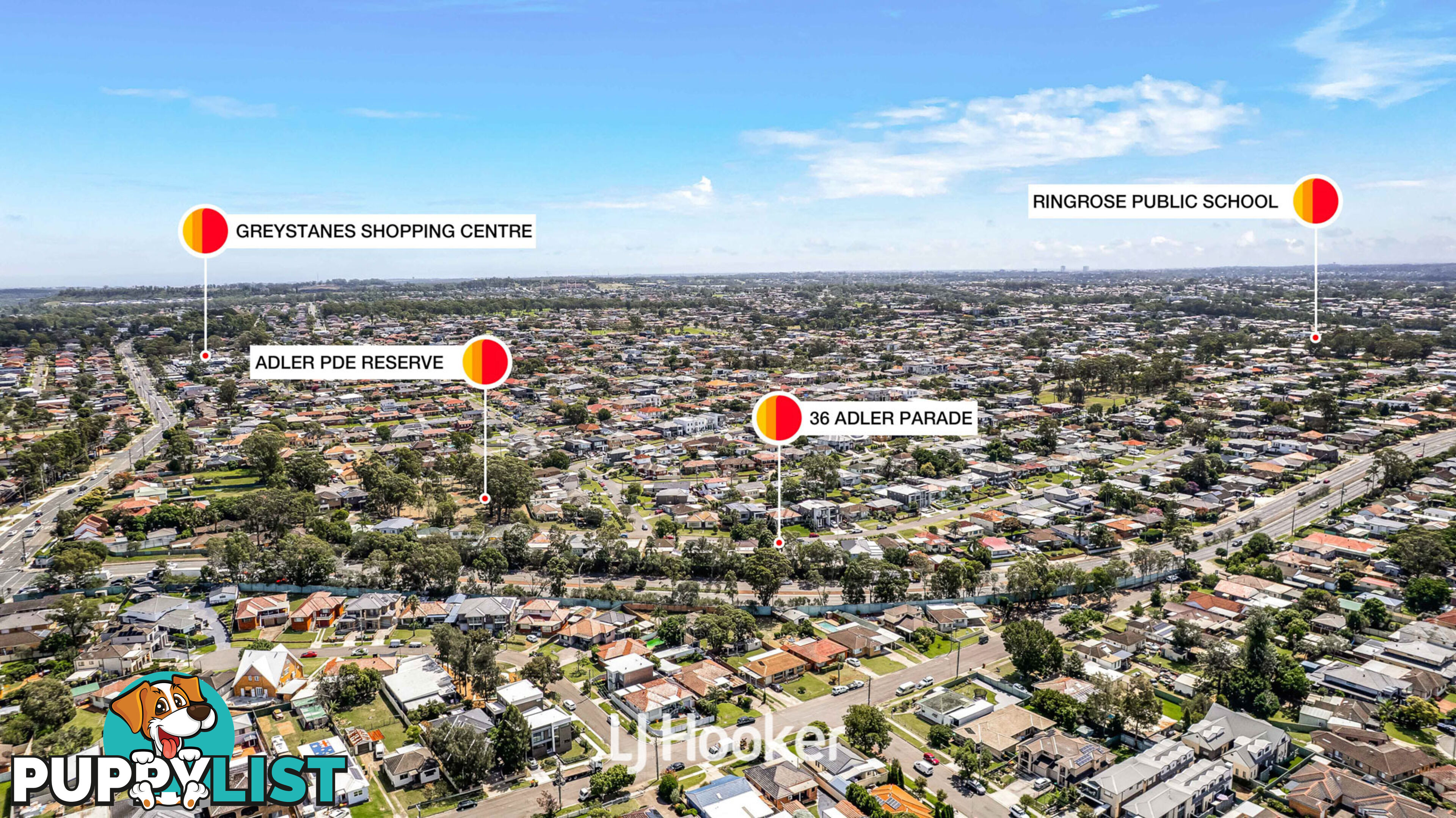 36 Adler Parade GREYSTANES NSW 2145