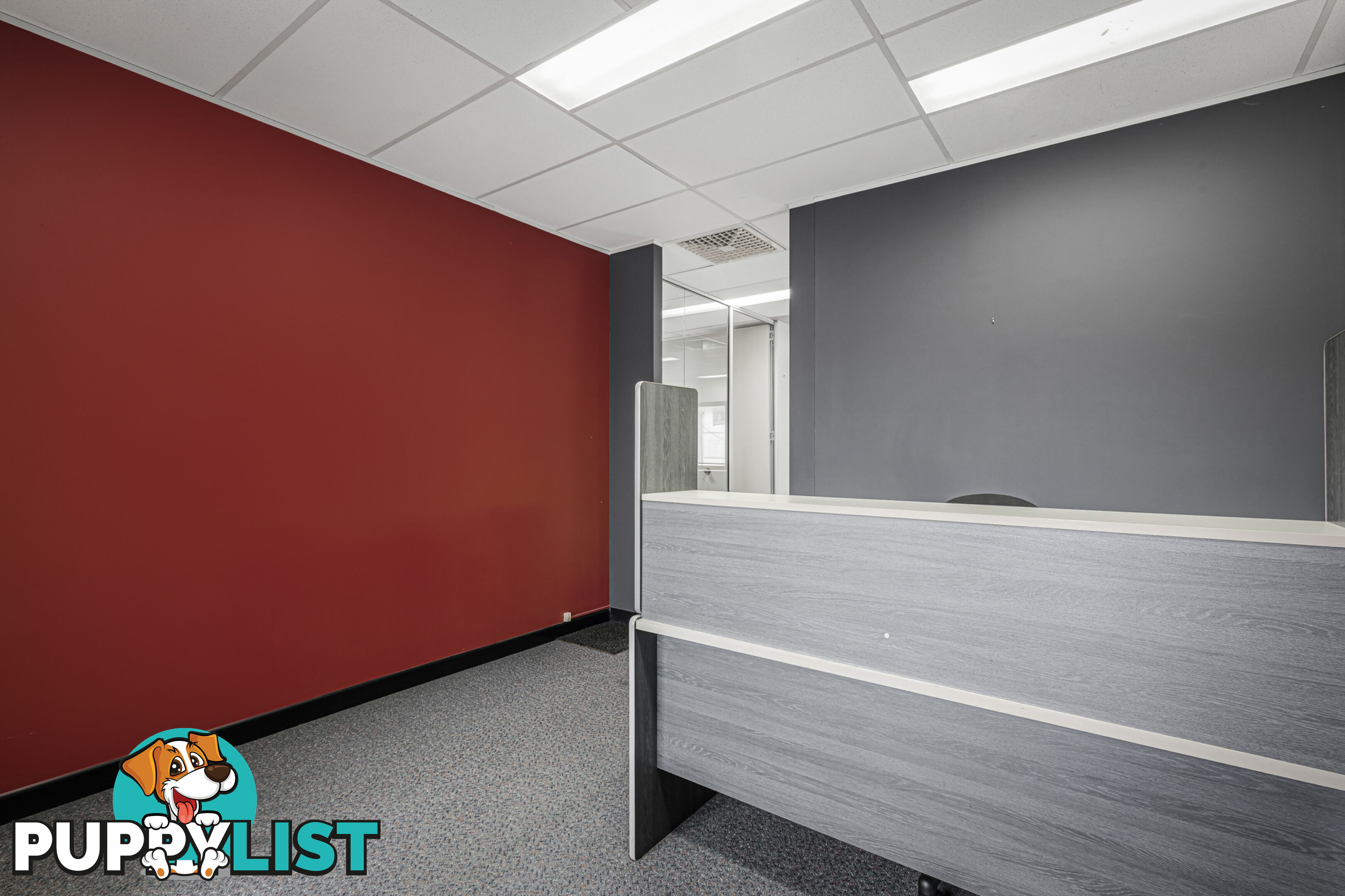 1/1 Cornelia Road TOONGABBIE NSW 2146