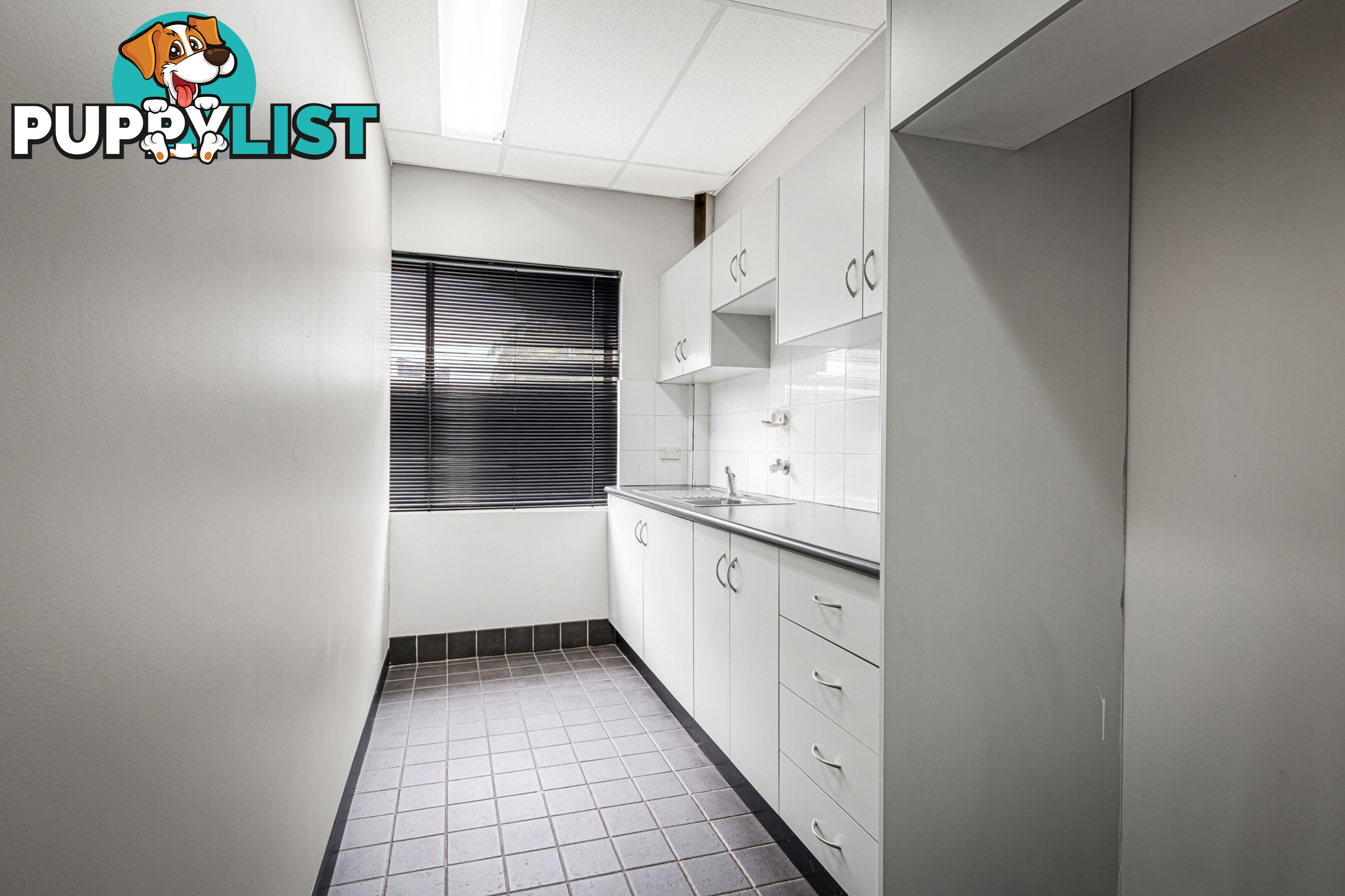 1/1 Cornelia Road TOONGABBIE NSW 2146