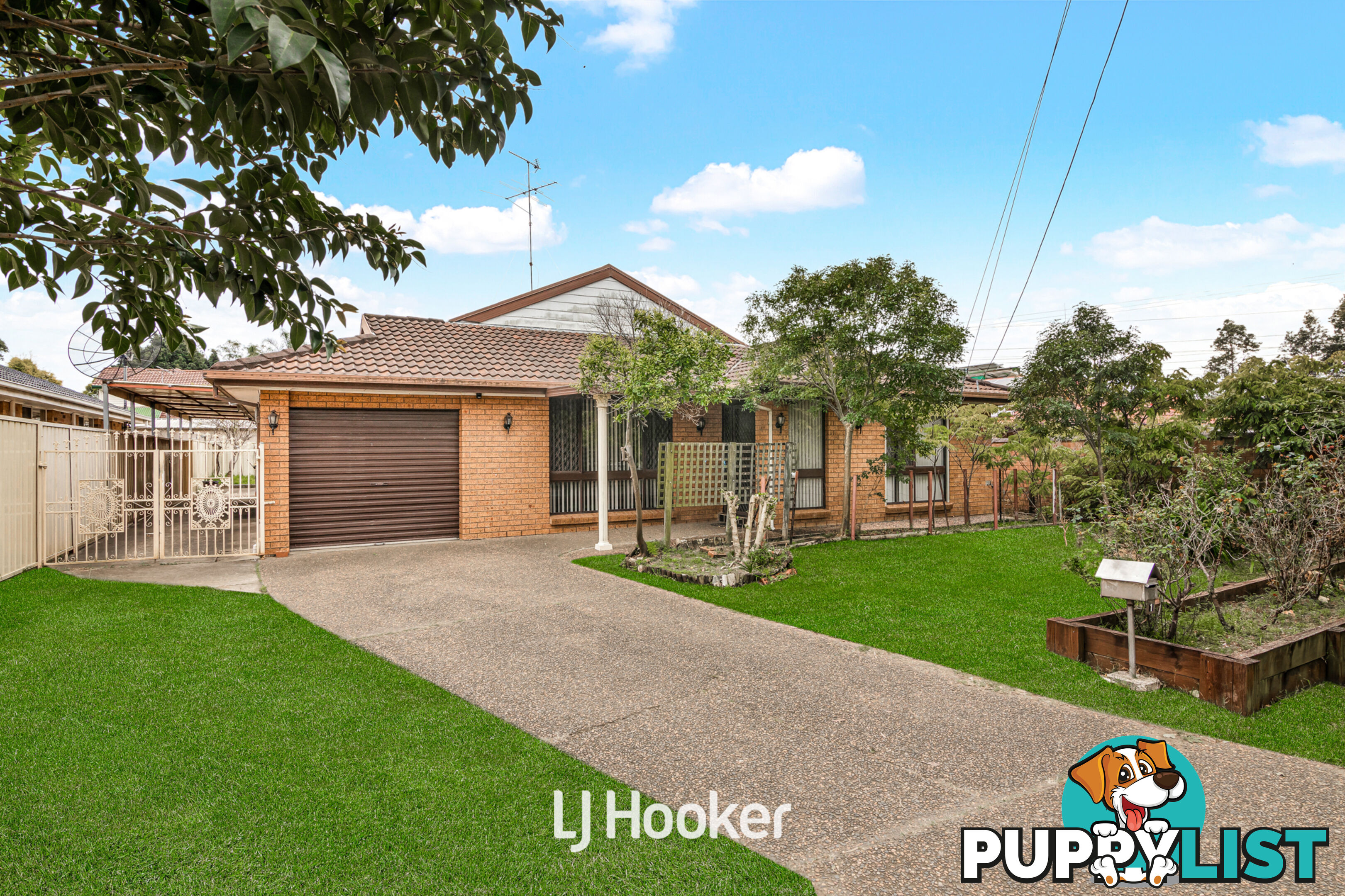 1 Abigail Street SEVEN HILLS NSW 2147