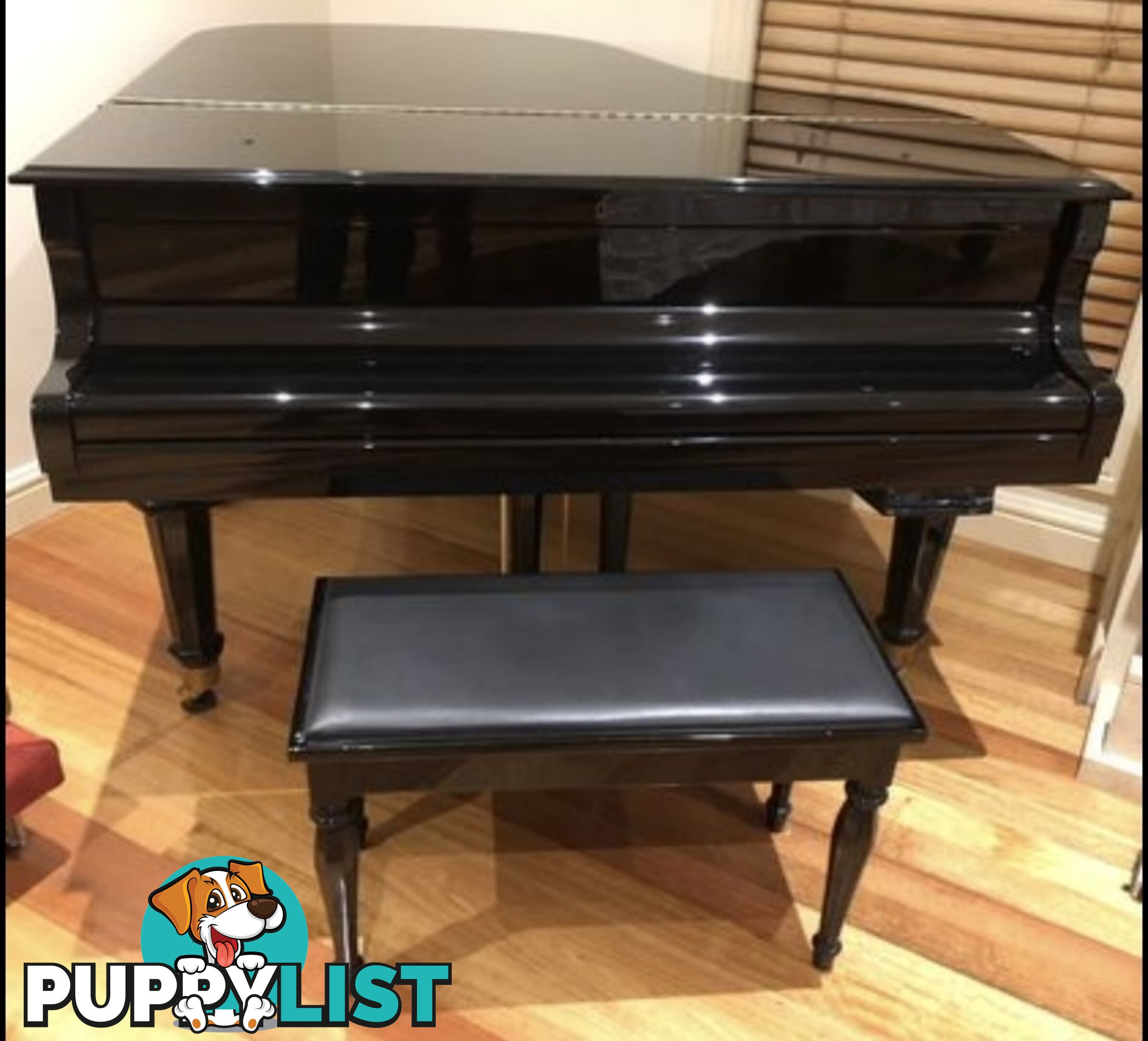 Story & Clark Baby Grand Piano (Ebony)