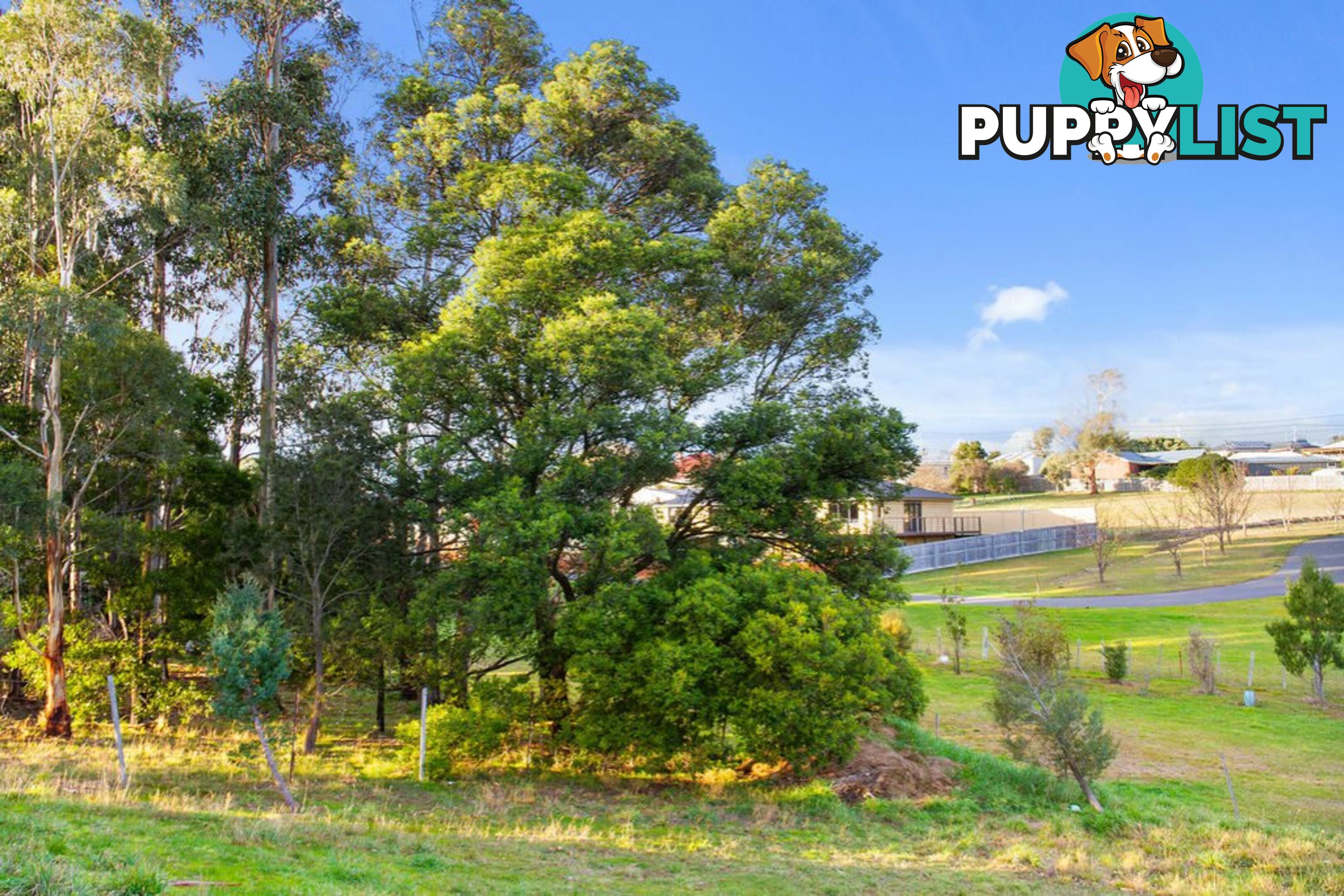 12 Balm Court MARGATE TAS 7054