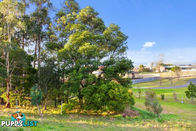 12 Balm Court MARGATE TAS 7054