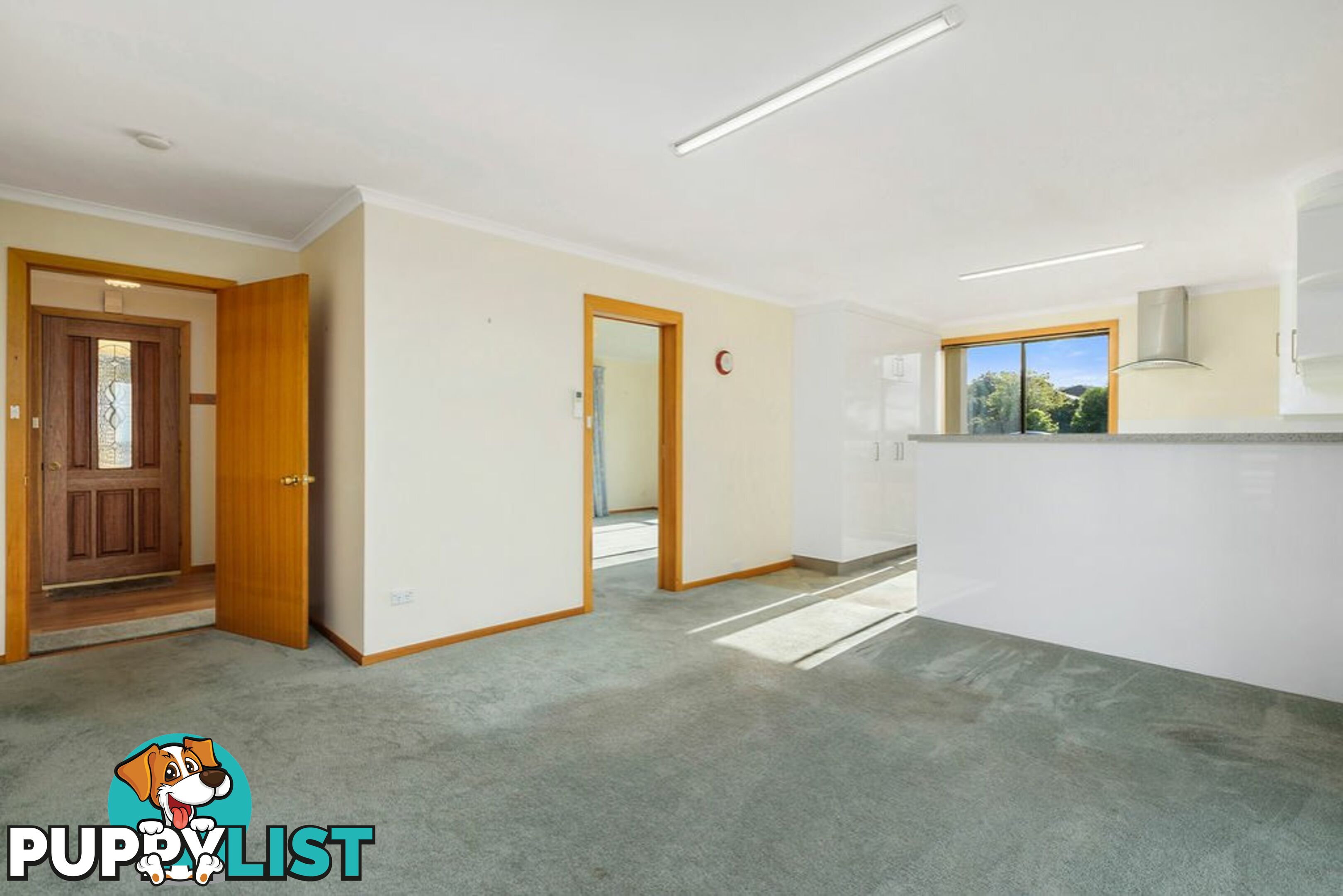 8 Ashley Court BLACKMANS BAY TAS 7052