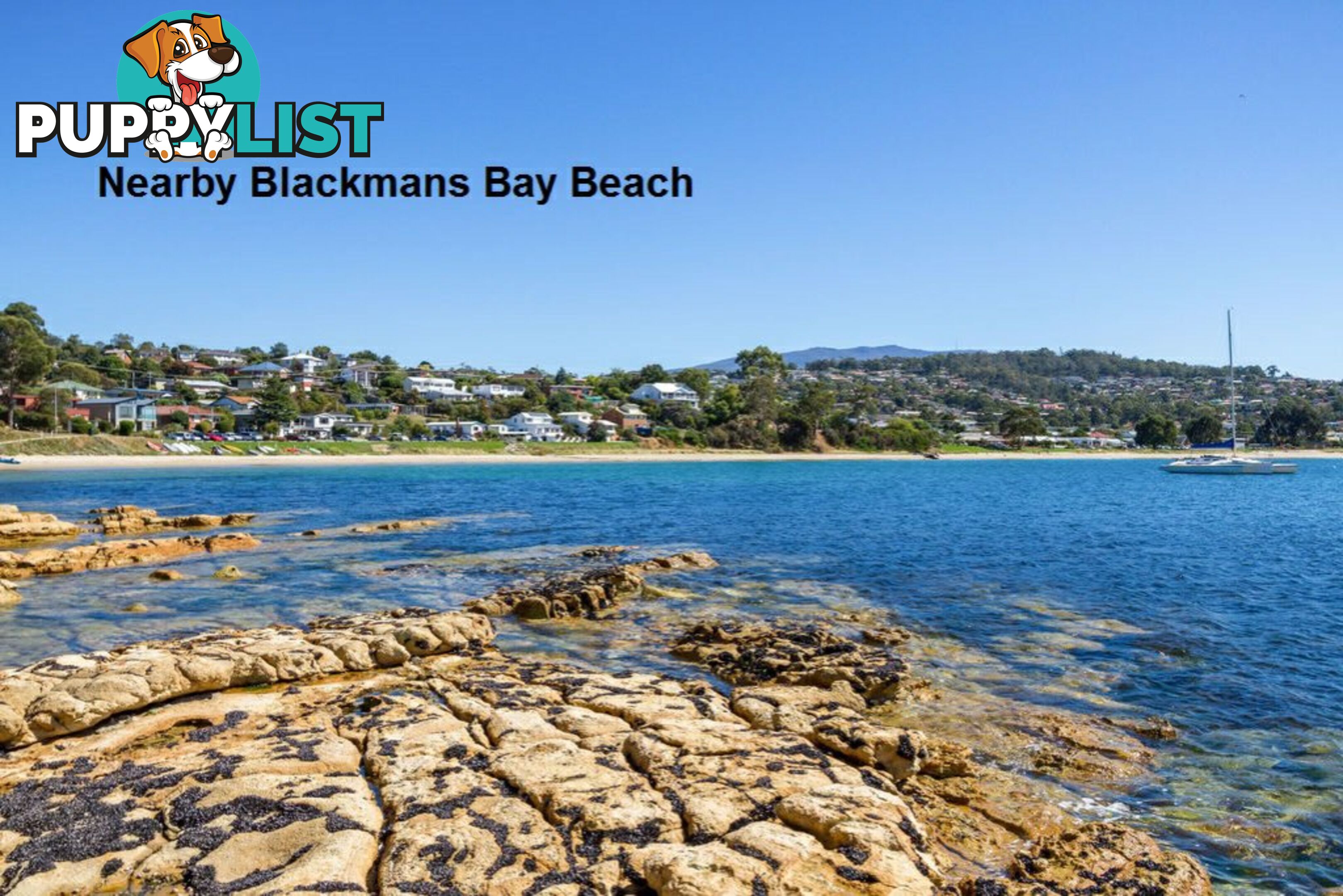 8 Ashley Court BLACKMANS BAY TAS 7052