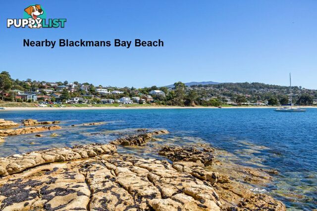 8 Ashley Court BLACKMANS BAY TAS 7052