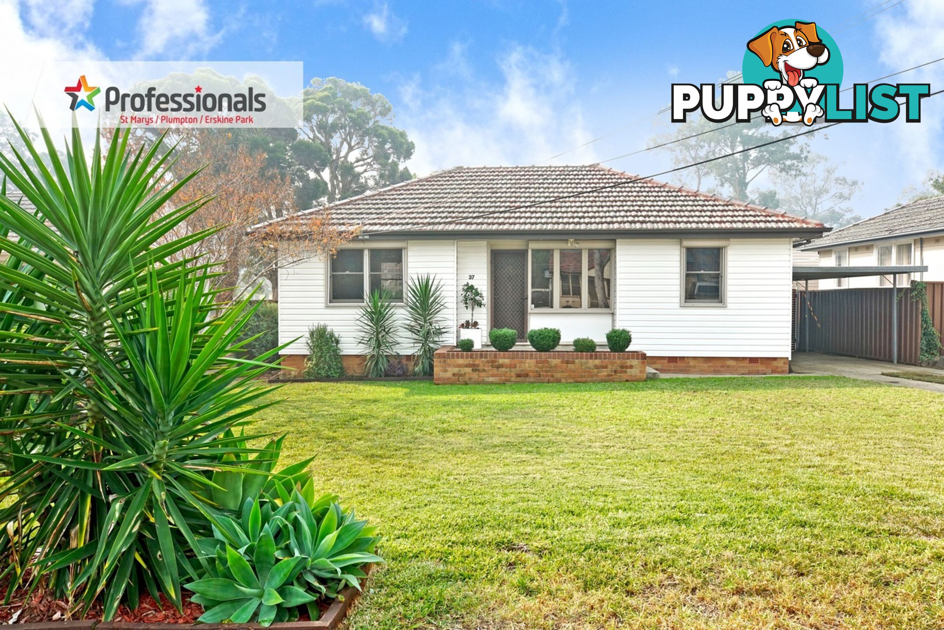 37 Lingayen Avenue Lethbridge Park NSW 2770