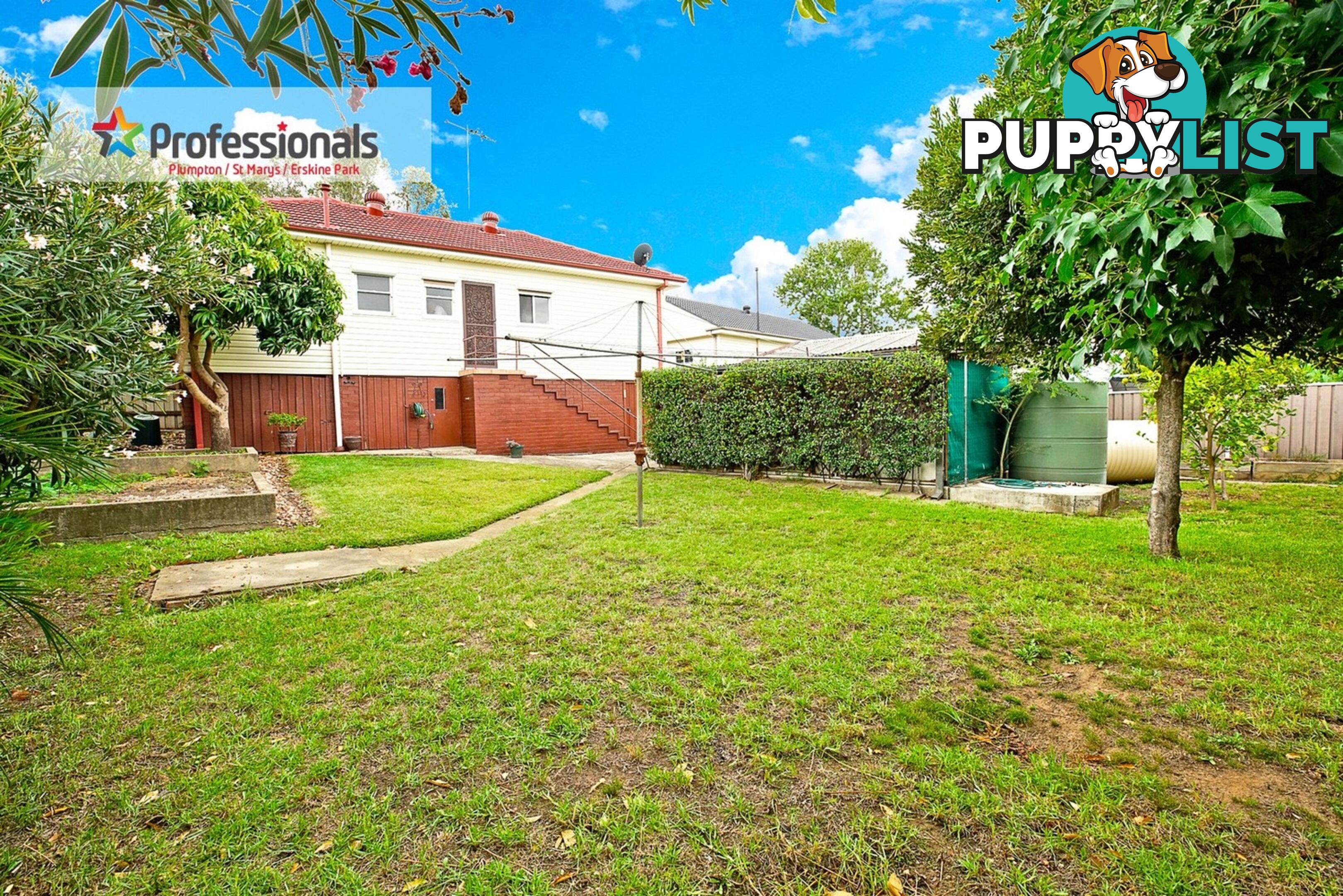 6 Allambi Street Colyton NSW 2760