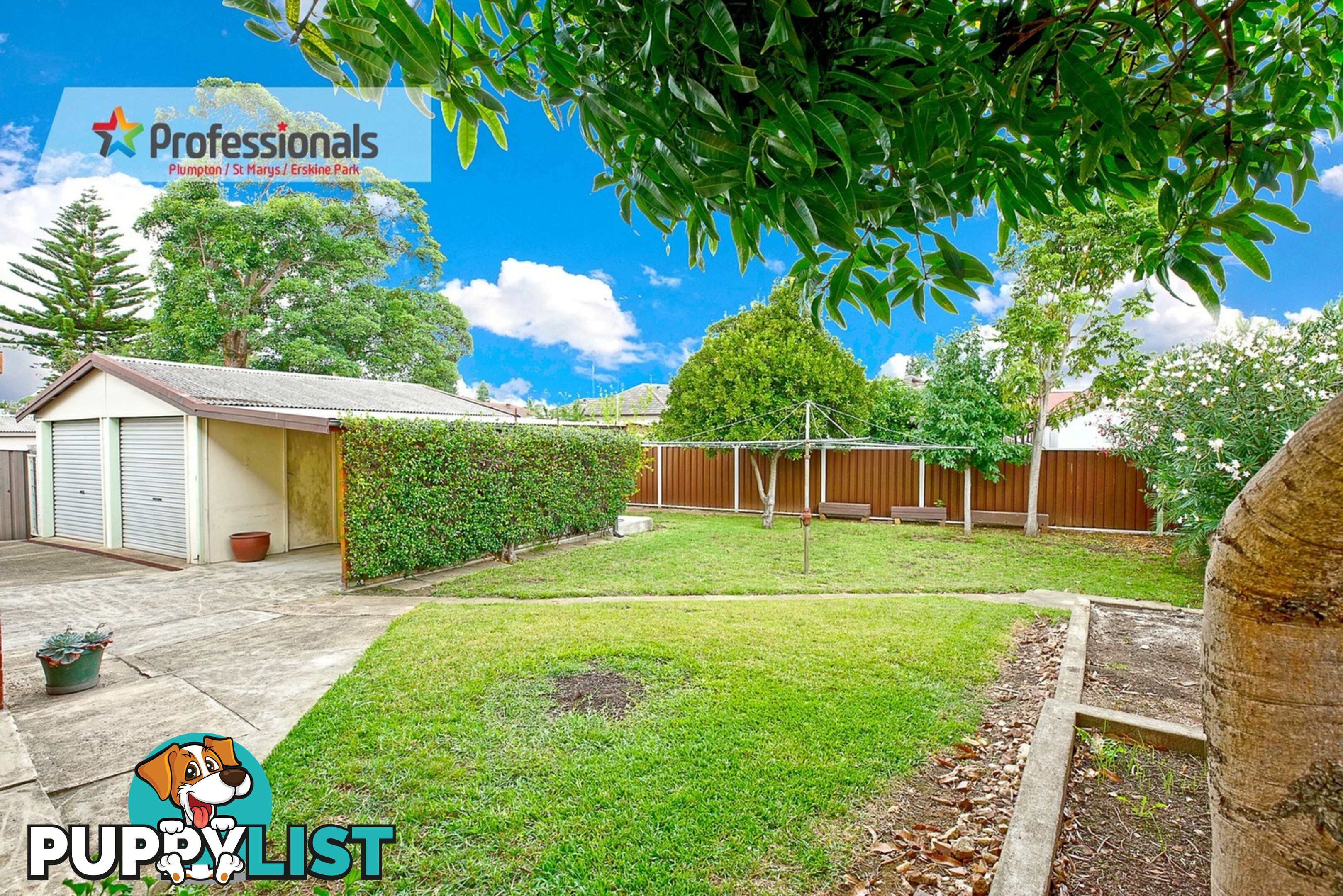 6 Allambi Street Colyton NSW 2760