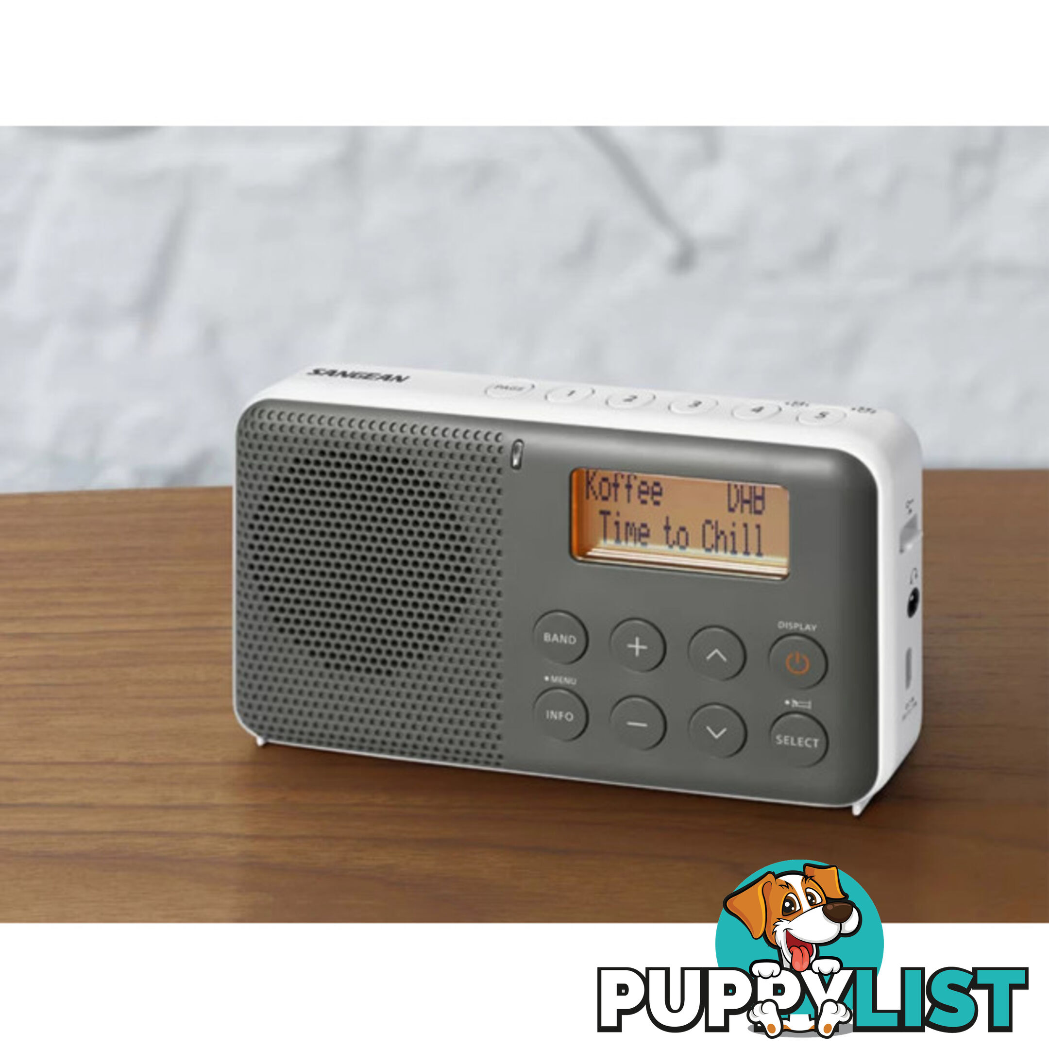 DPR64 DAB+ / FM-RDS / TRAVEL RADIO RECHARGEABLE COMPACT PORTABLE