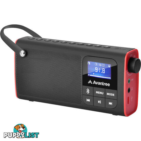 SP850 BLUETOOTH PORTABLE FM RADIO SPEAKER SD CARD LED BATTERY