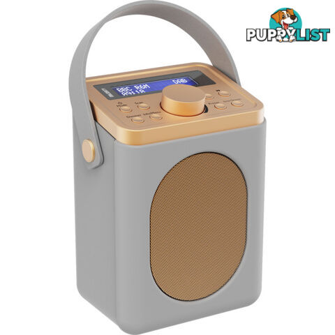 LSFGRY PORTABLE DAB RADIO WITH BLUETOOTH GREY LITTLE SHELFORD