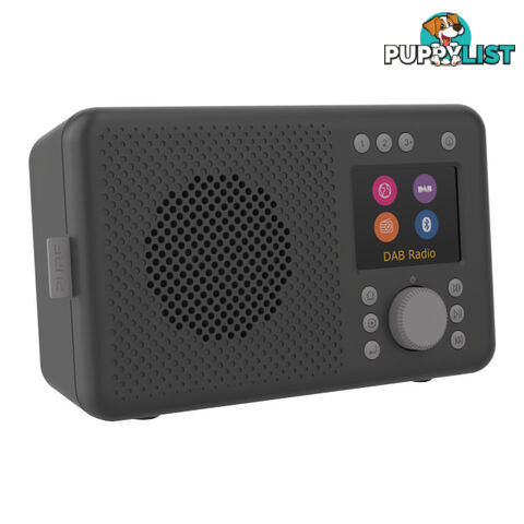 CONNECTCH DAB+ INTERNET RADIO WITH BT ELAN CHARCOAL PORTABLE