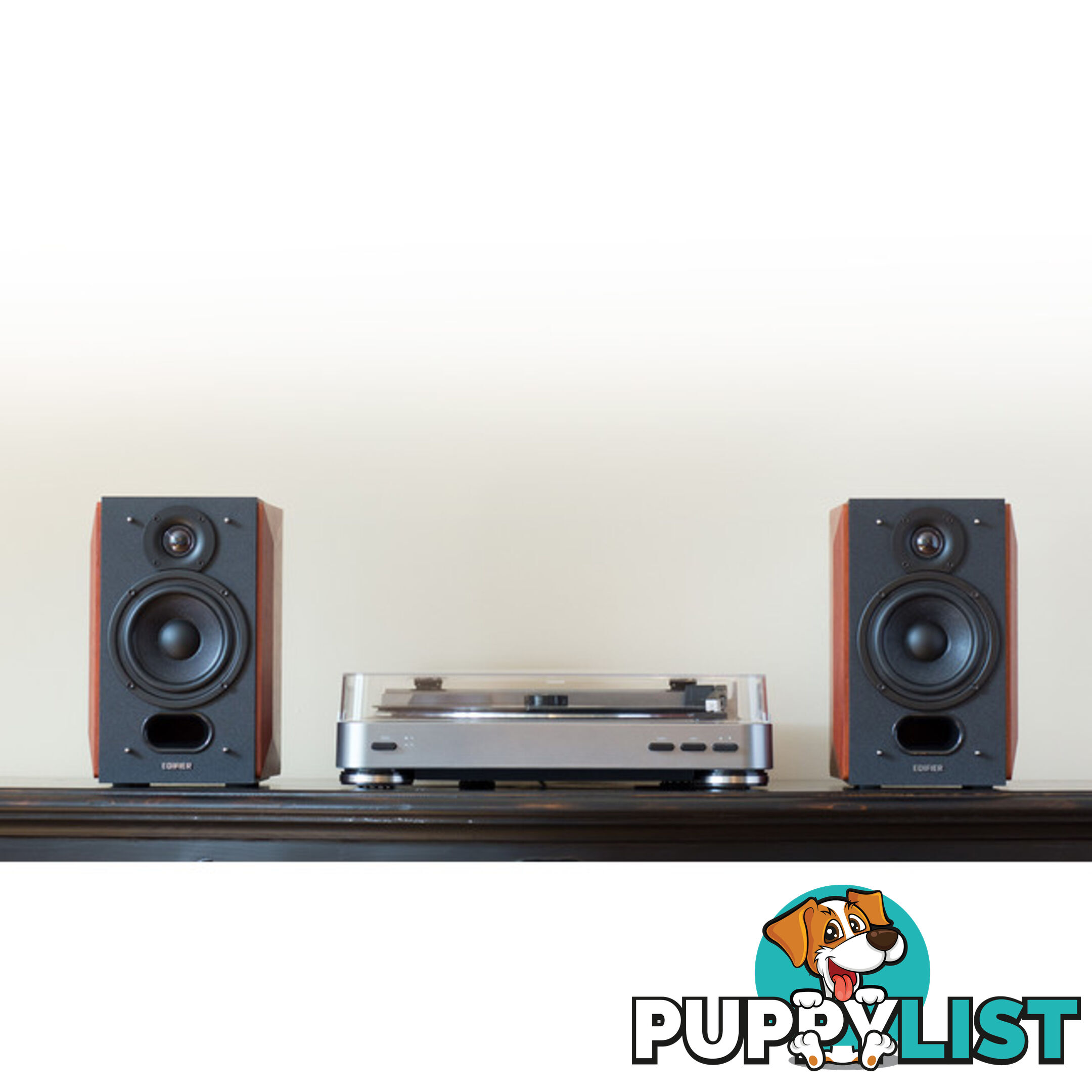 P17 PASSIVE BOOKSHELF SPEAKERS