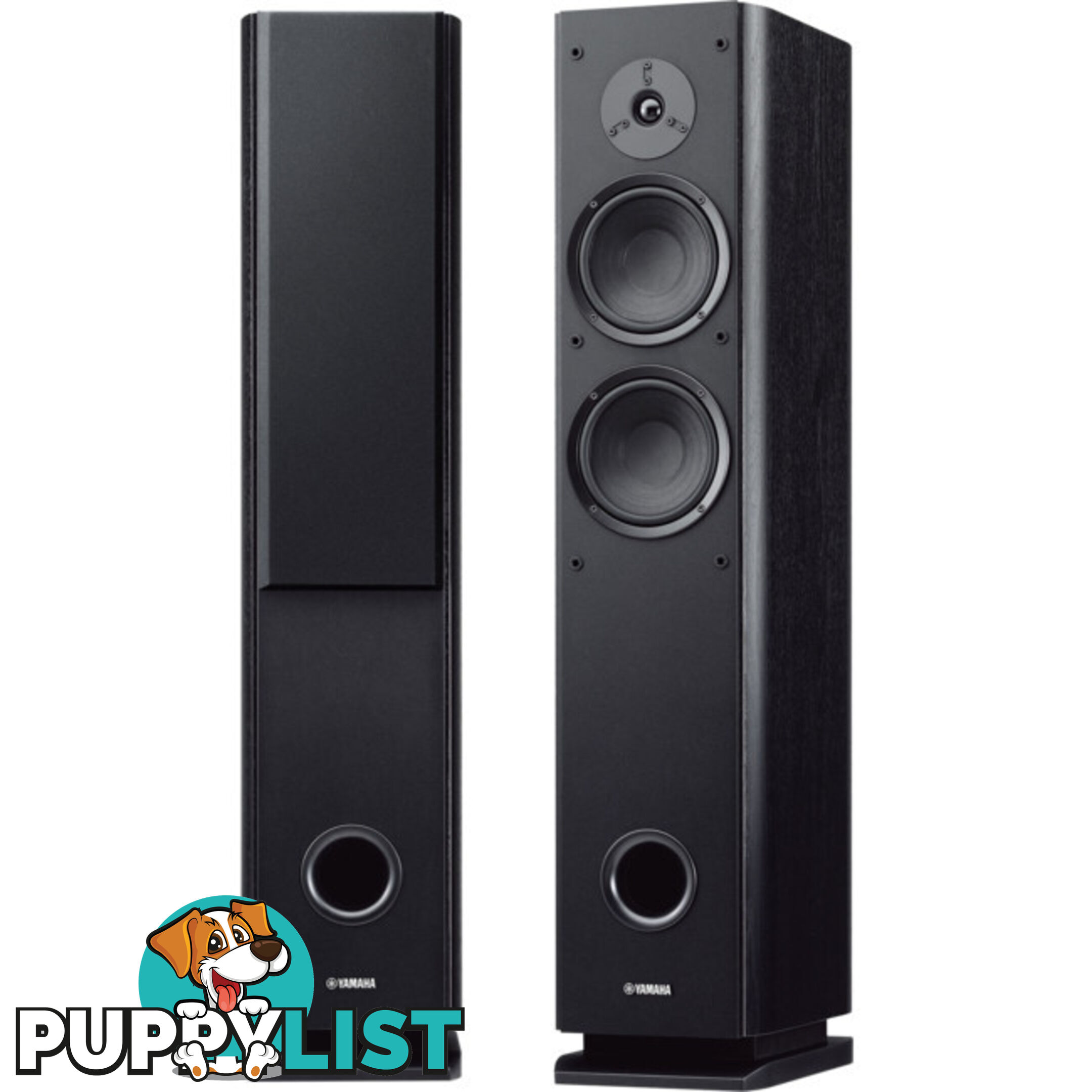 NSF160 BLACK FLOORSTANDING SPEAKER