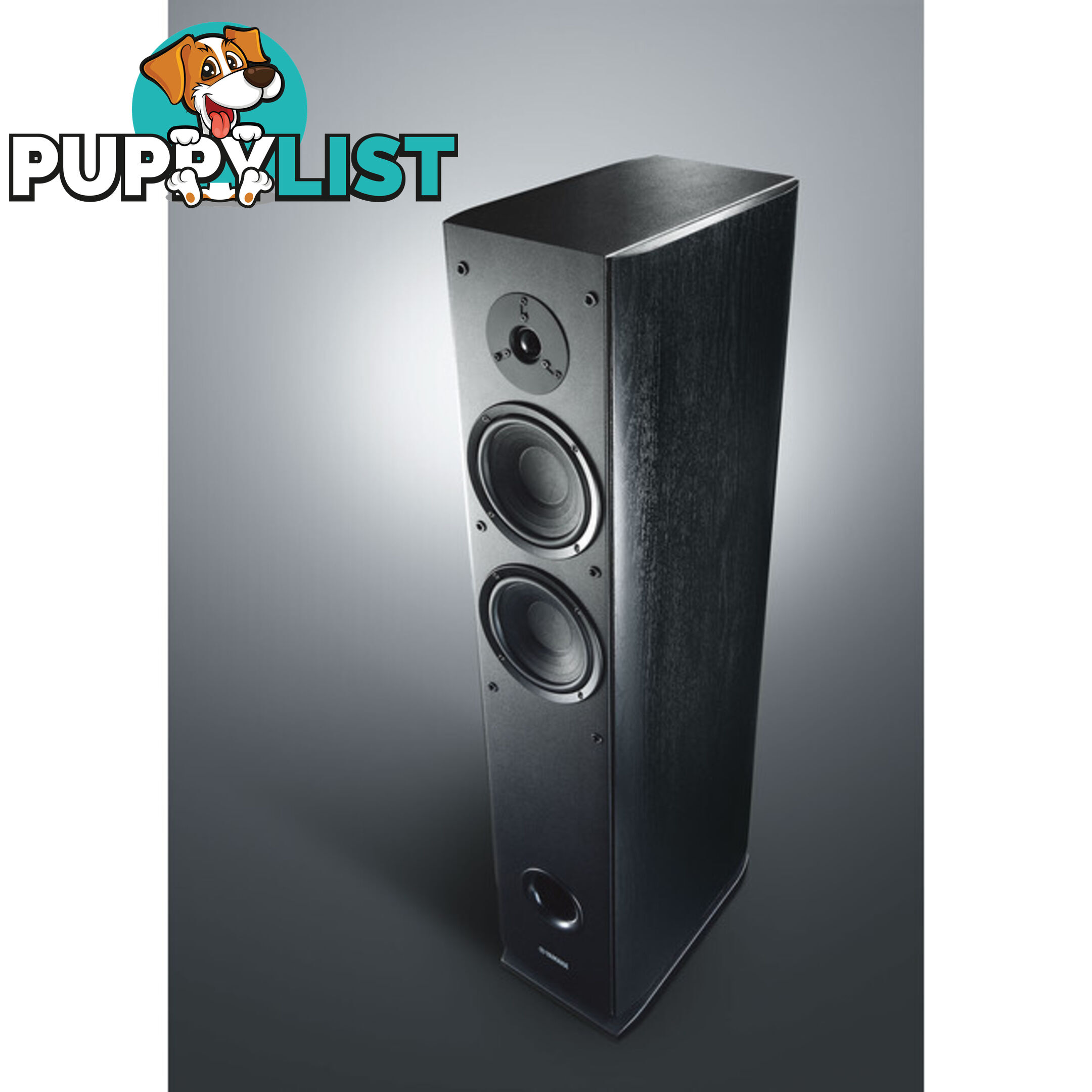 NSF160 BLACK FLOORSTANDING SPEAKER