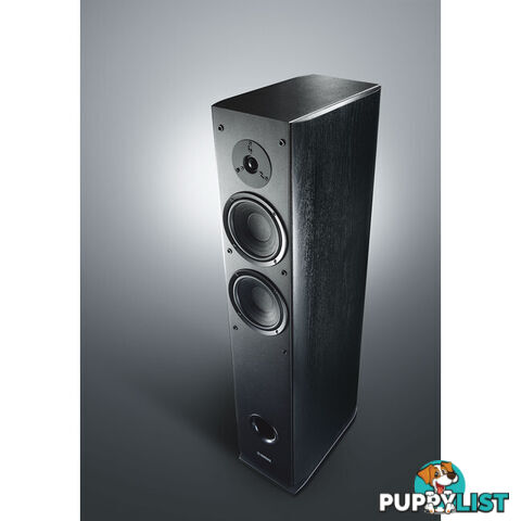 NSF160 BLACK FLOORSTANDING SPEAKER