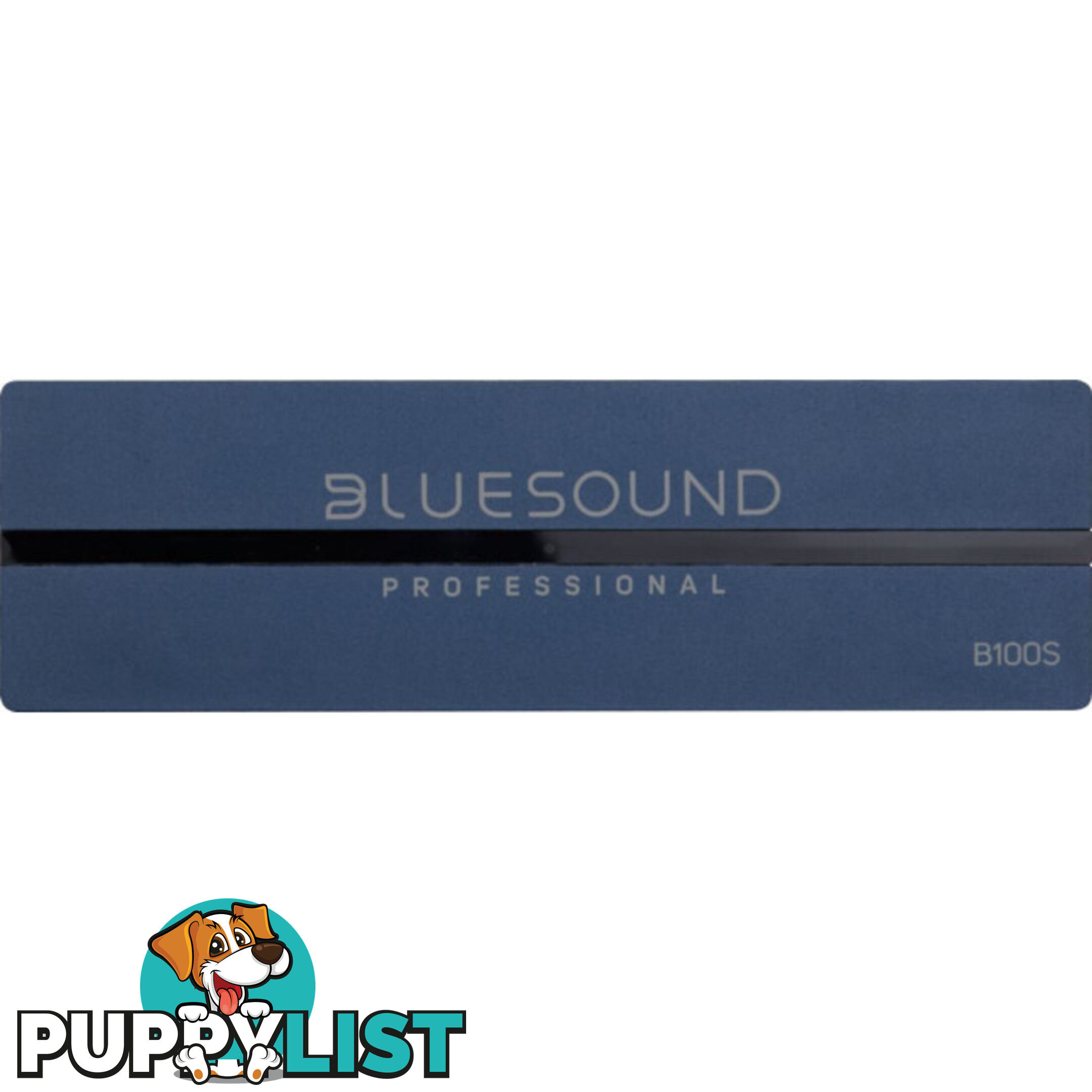 B100S 1 ZONE NETWORK MUSIC PLAYER BLUESOUND PROFESSIONAL