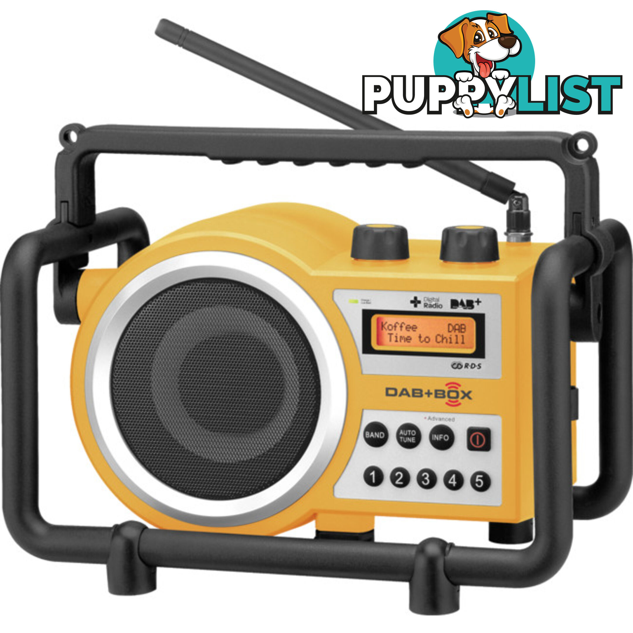 DABBOXY DAB+ TOUGH UTILITY RADIO SANGEAN