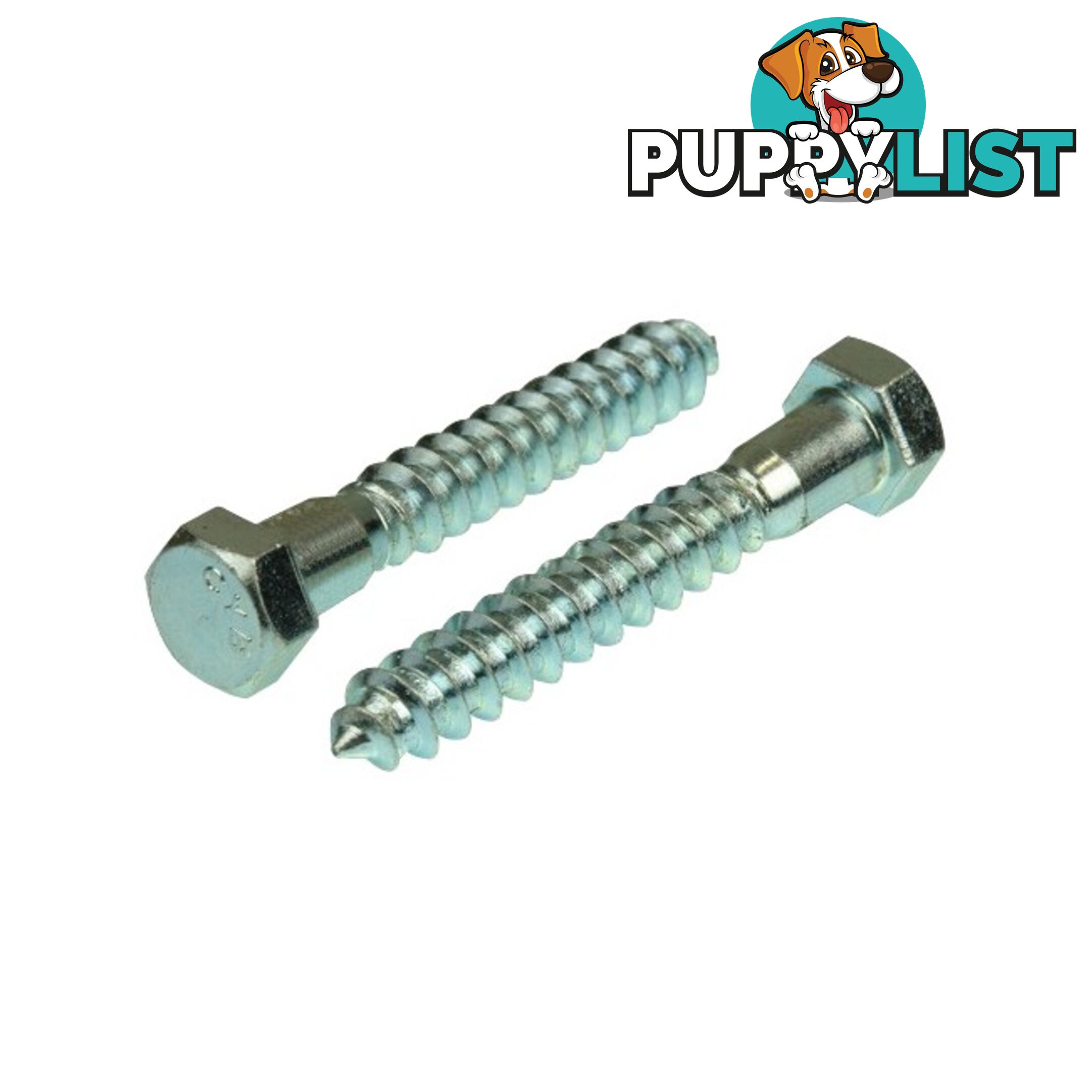 CS65 65MM X 10MM COACH SCREW ZINC PLATED