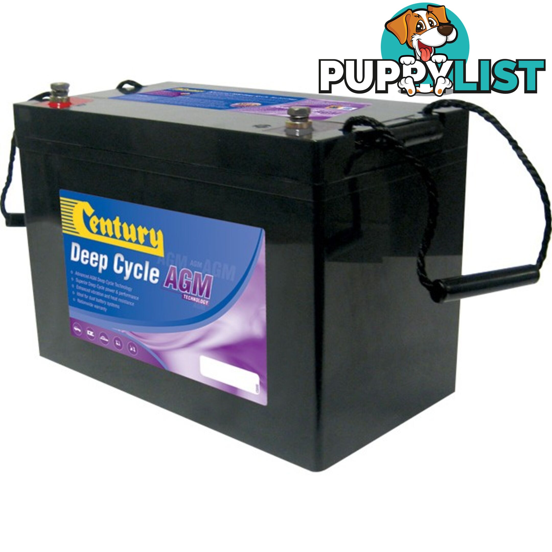 C12-120DA 12V 120AH ABSORBED GLASS MAT AGM DEEP CYCLE BATTERY CENTURY