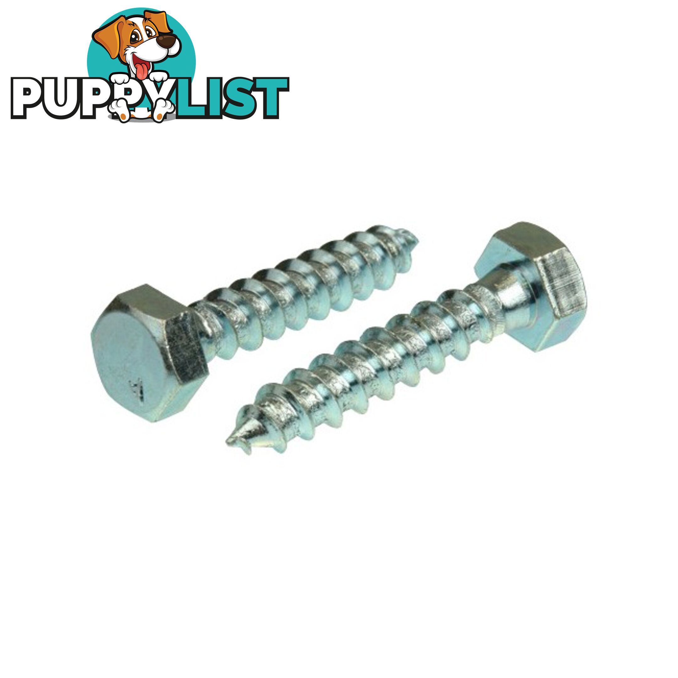 CS50 50MM X 10MM COACH SCREW ZINC PLATED