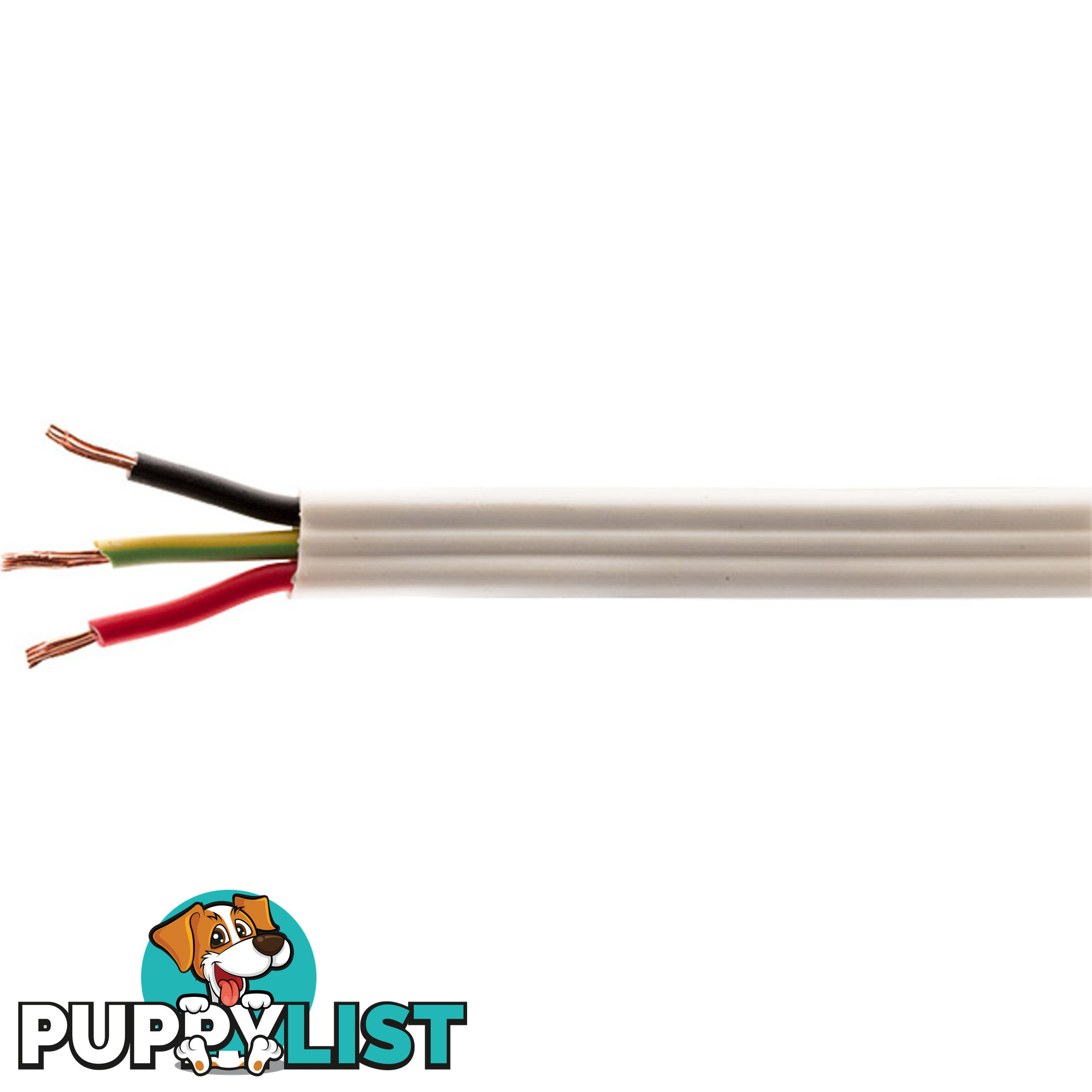 CBL2.5TE-1M 2CORE+EARTH POWER CABLE-1M (100MT)